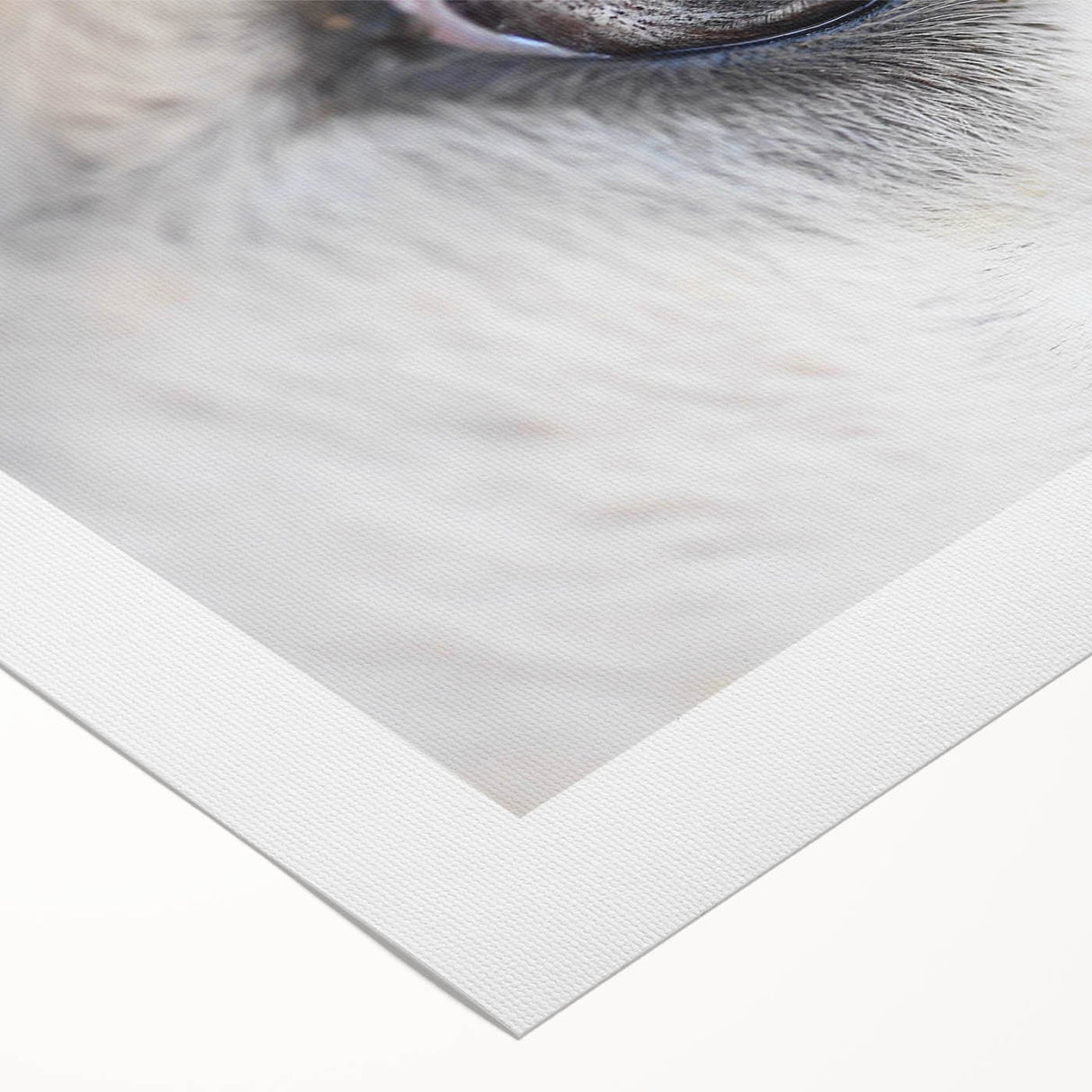 Art deco poster of colorful birds in flight on a rolled canvas, suitable for dining room or bathroom wall art.