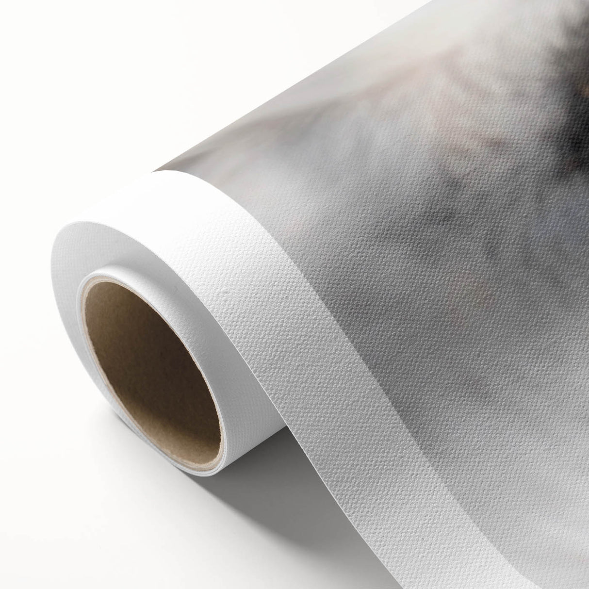 Art deco poster of colorful birds on branches, printed on rolled canvas, ideal for nursery wall art.