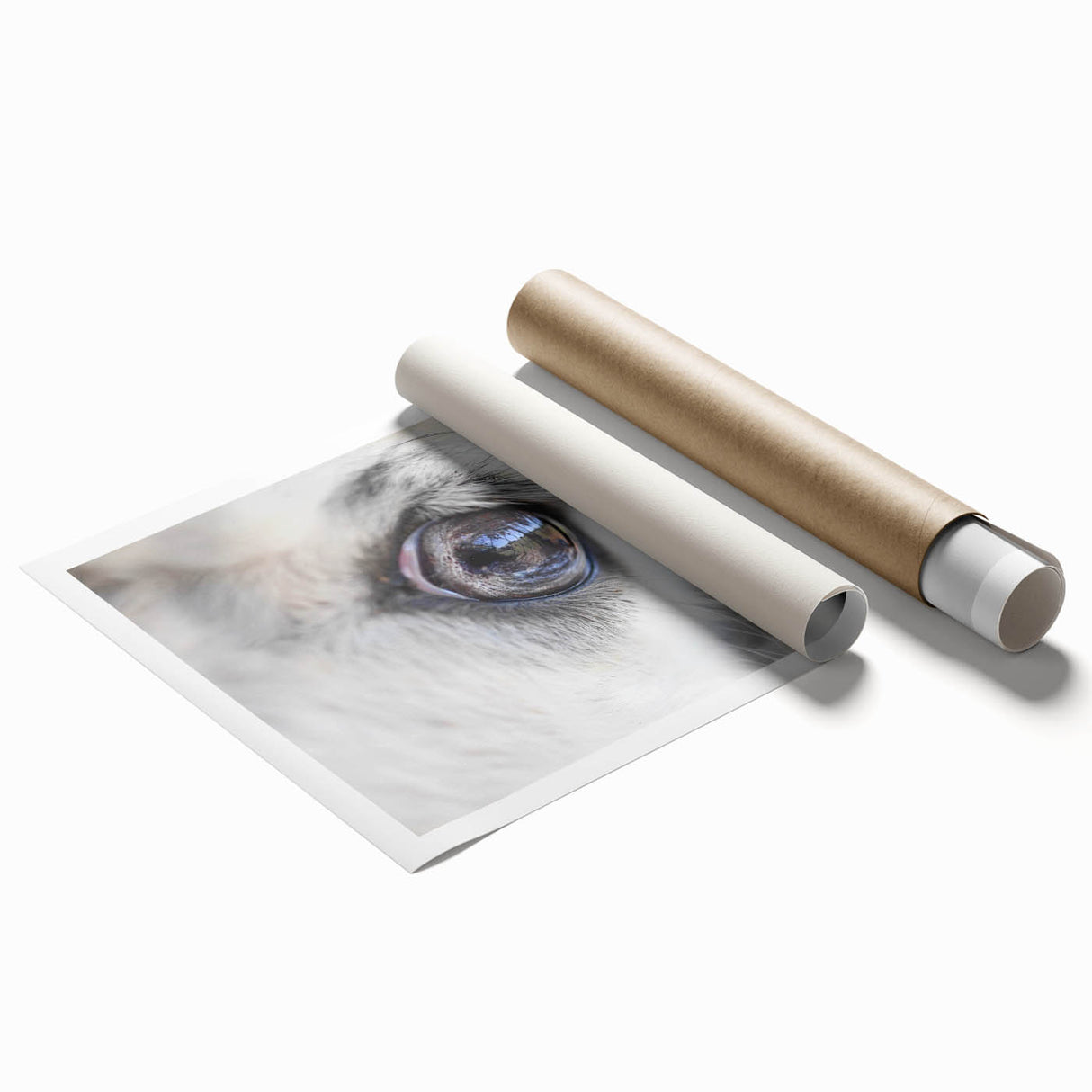 Close-up image of a bird among floral branches on a large rolled print, suitable for bathroom or living room decor.