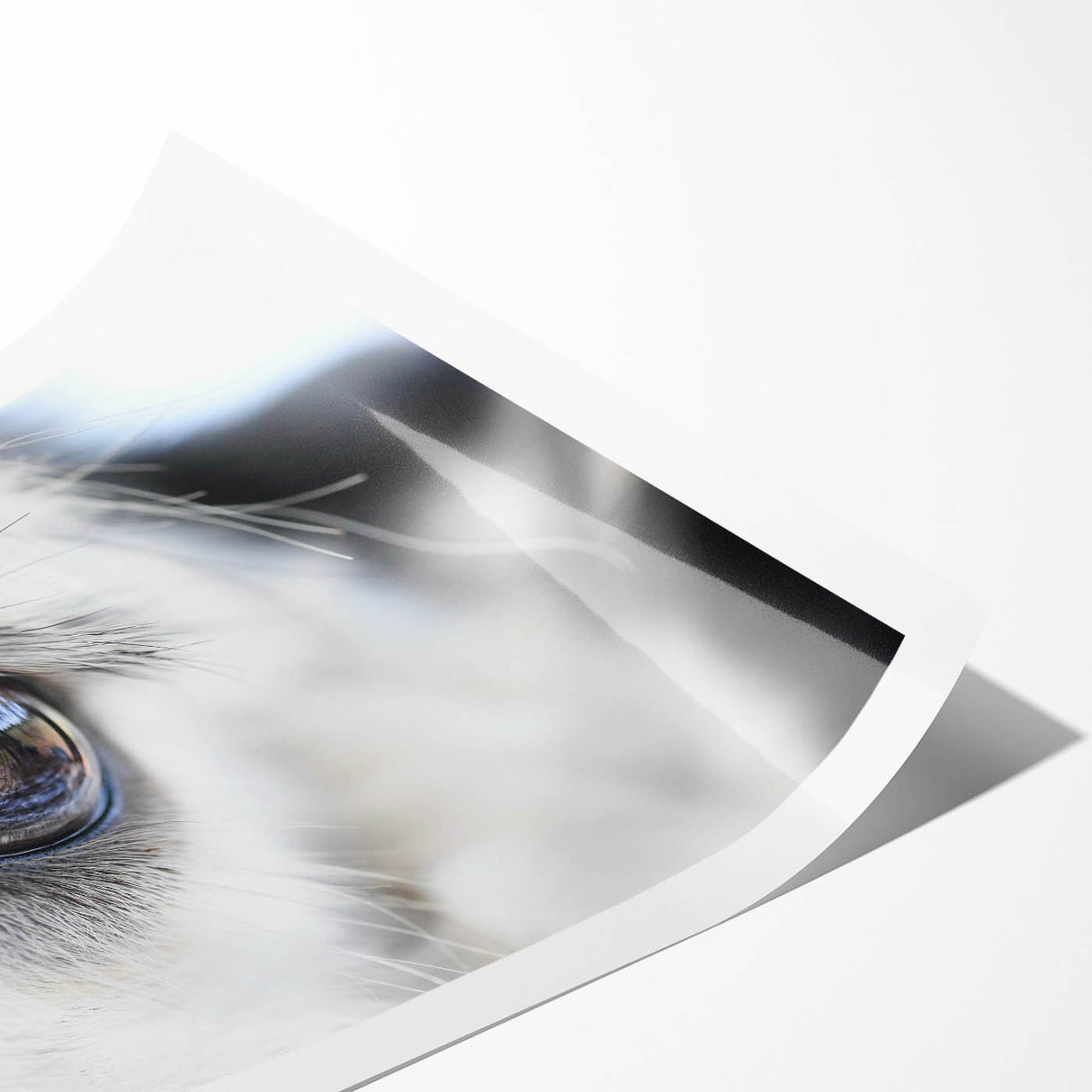 Extra large wall art featuring line art flowers in monochrome, printed on rolled canvas.