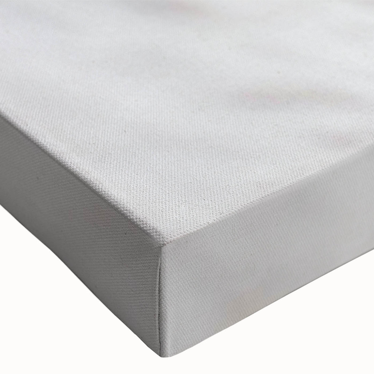 Close-up black and white photo of a bird on canvas, ideal for bedroom wall art with a minimalist style.