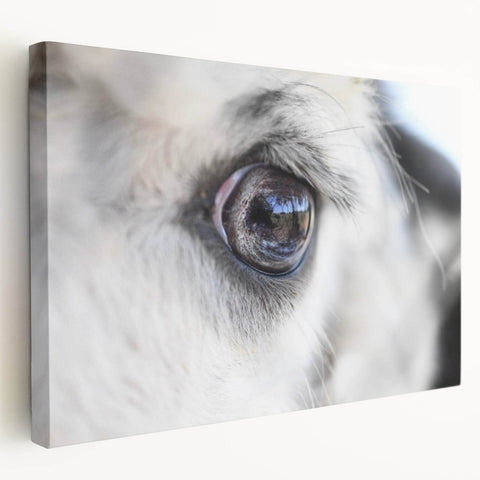 A close-up image of a bird on a stretched canvas, featuring detailed feathers in earthy tones, ideal for kitchen wall art.