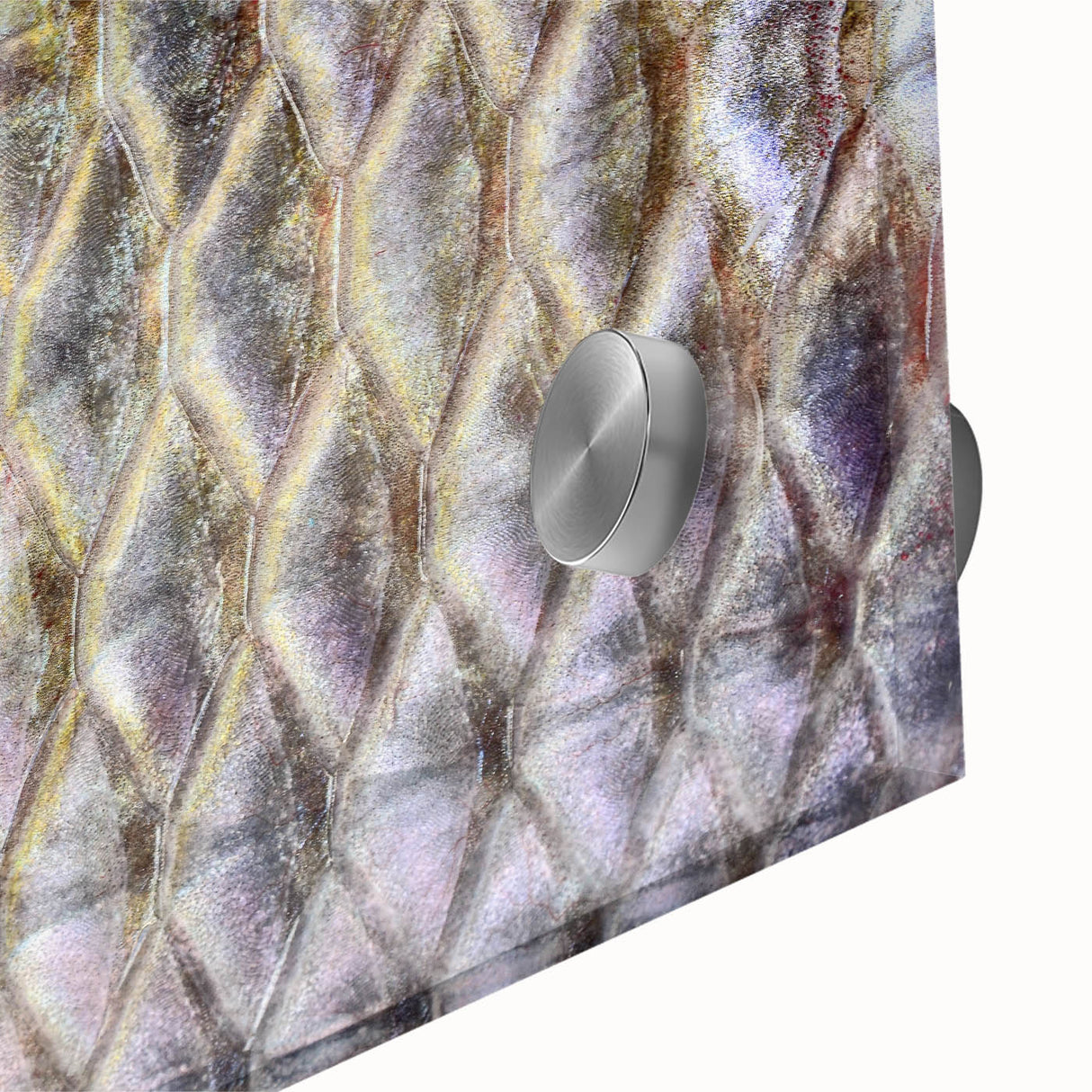 Close-up of a bird in muted earth tones on a large acrylic print, ideal for dining room art.