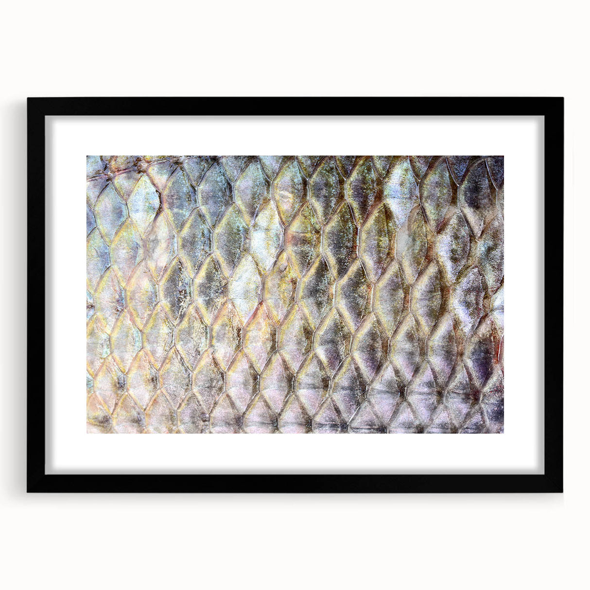 Abstract art print of vibrant, colorful birds on textured canvas, framed in black, ideal for living room decor.