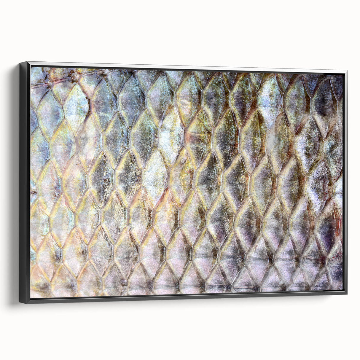 Black and white wall art of a bird in flight, rendered on framed canvas.