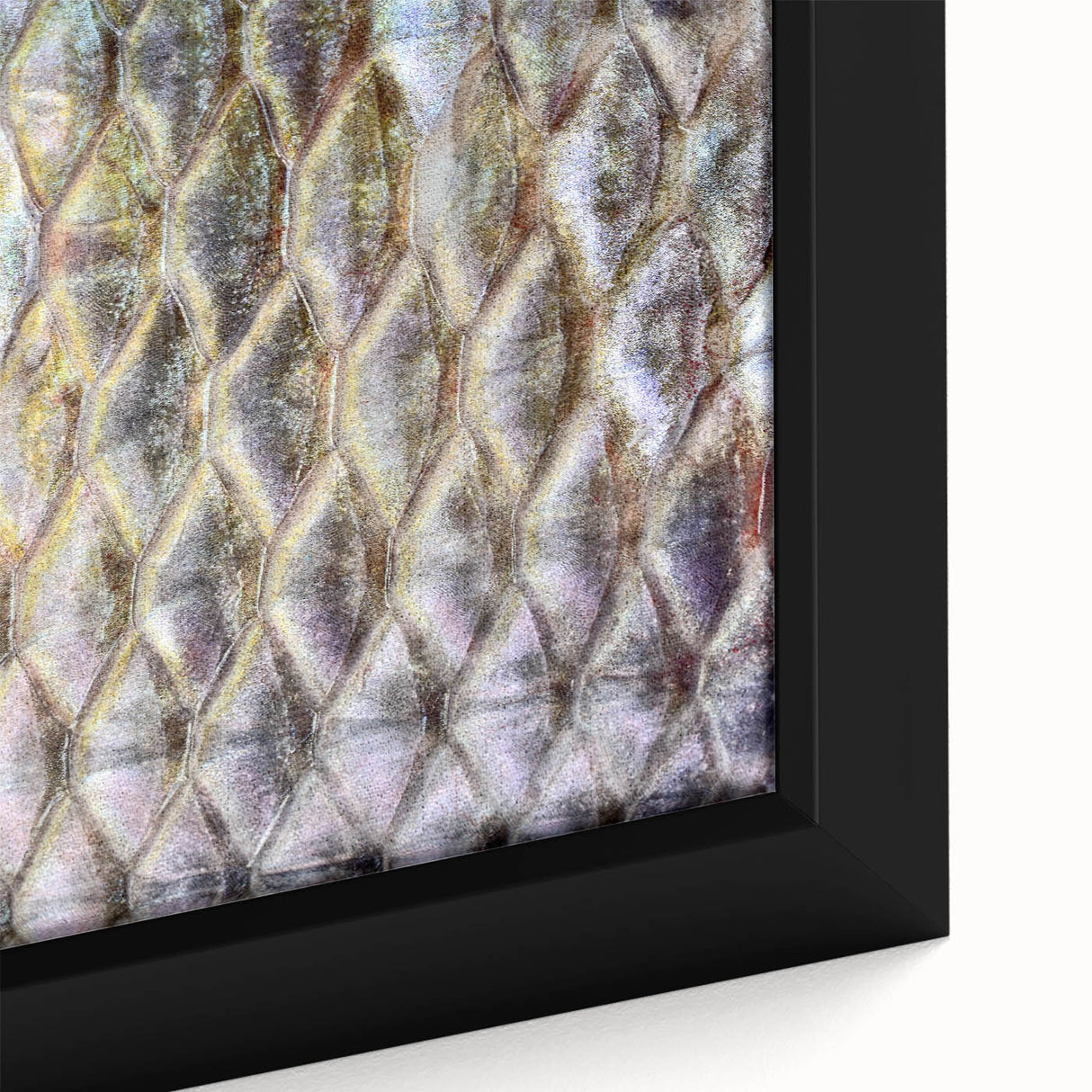 Close-up of a colorful bird on black textured canvas, ideal for extra large living room wall art.