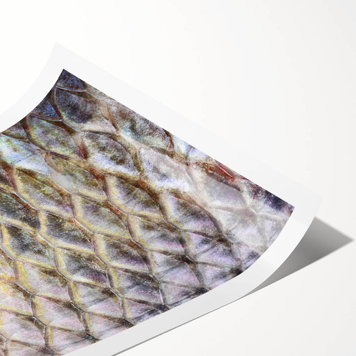 Extra large wall art featuring line art flowers in black on a white background, ideal for large living room decor.