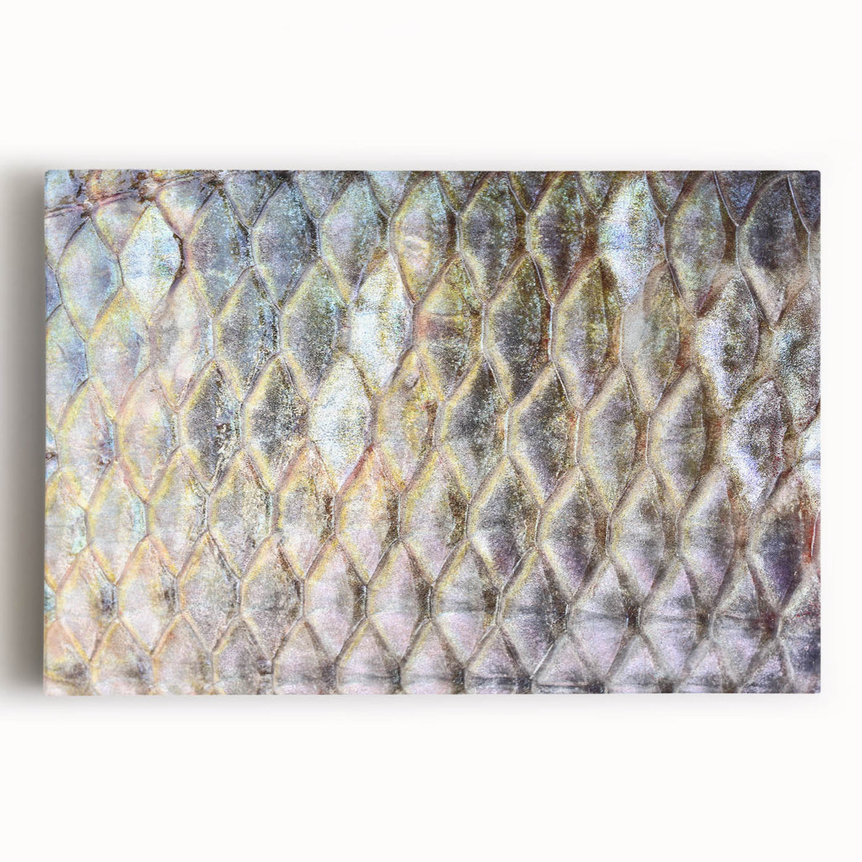 Black and white photo of birds on branches, printed on large stretched canvas, ideal for kitchen wall art.