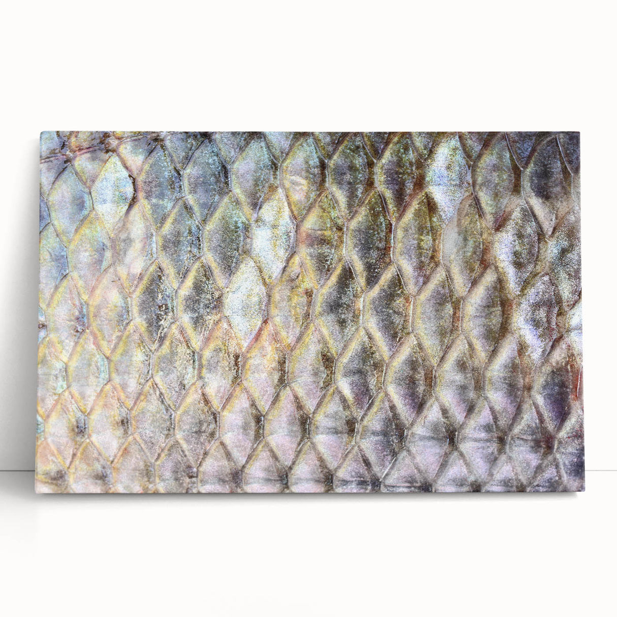 Black and white photo of a bird in flight on large stretched canvas, suitable for kitchen wall art or bedroom decor.