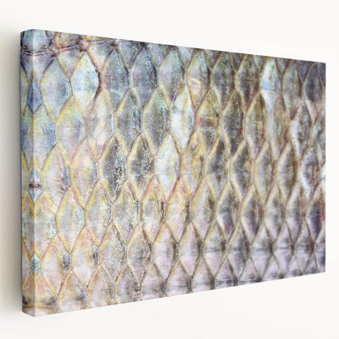 Close-up image of a bird on stretched canvas with detailed feather textures in natural colors, suitable for kitchen wall art.