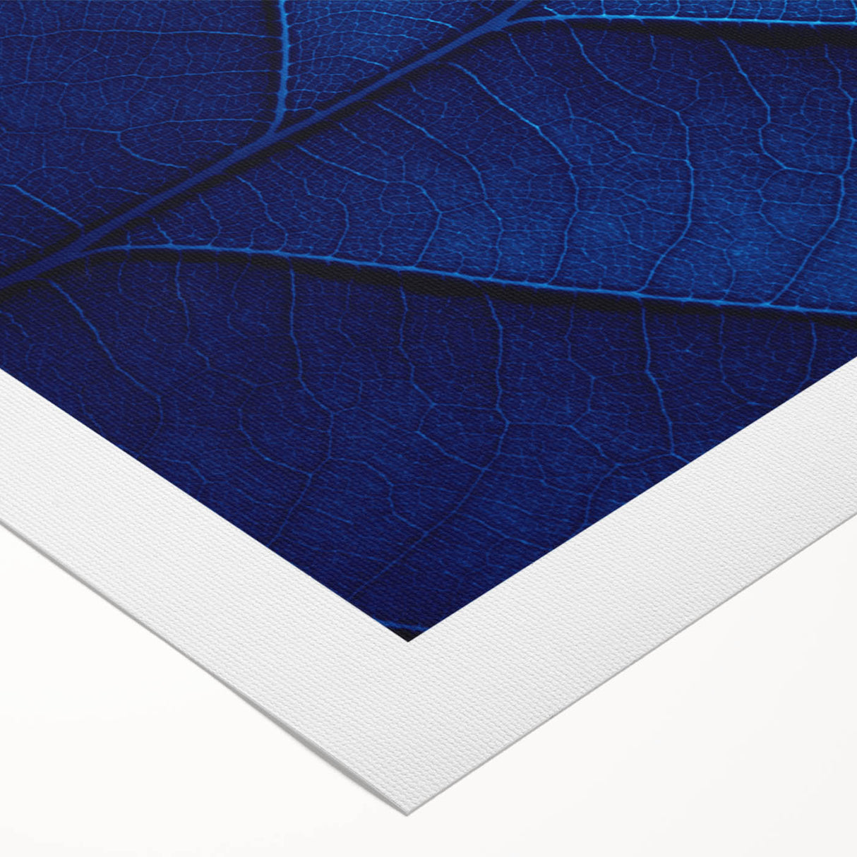 Art deco poster featuring close-up floral design in pastel shades on rolled canvas.