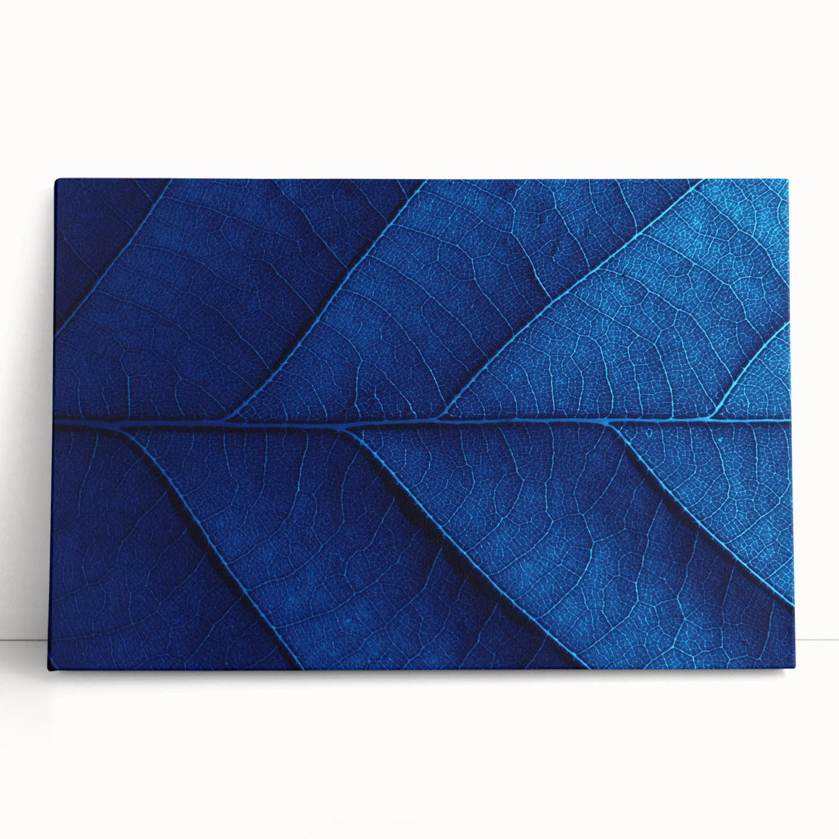 Black and white close-up floral image on stretched canvas, ideal for kitchen wall art or bedroom ambiance.