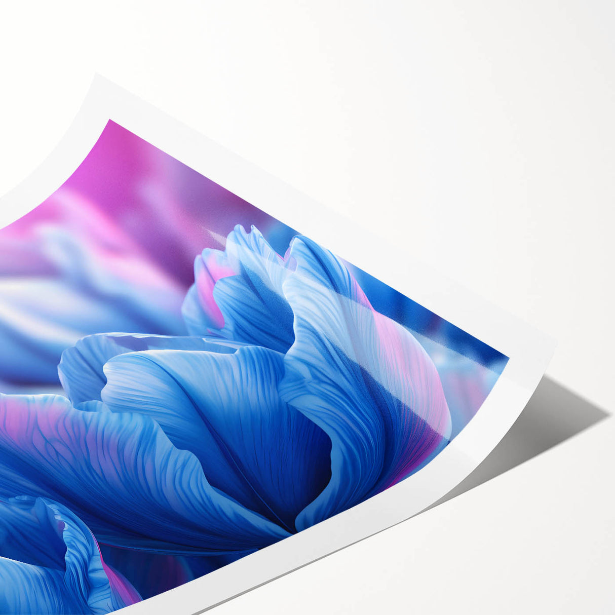 Extra large wall art featuring line art flowers in black and white on a rolled print.