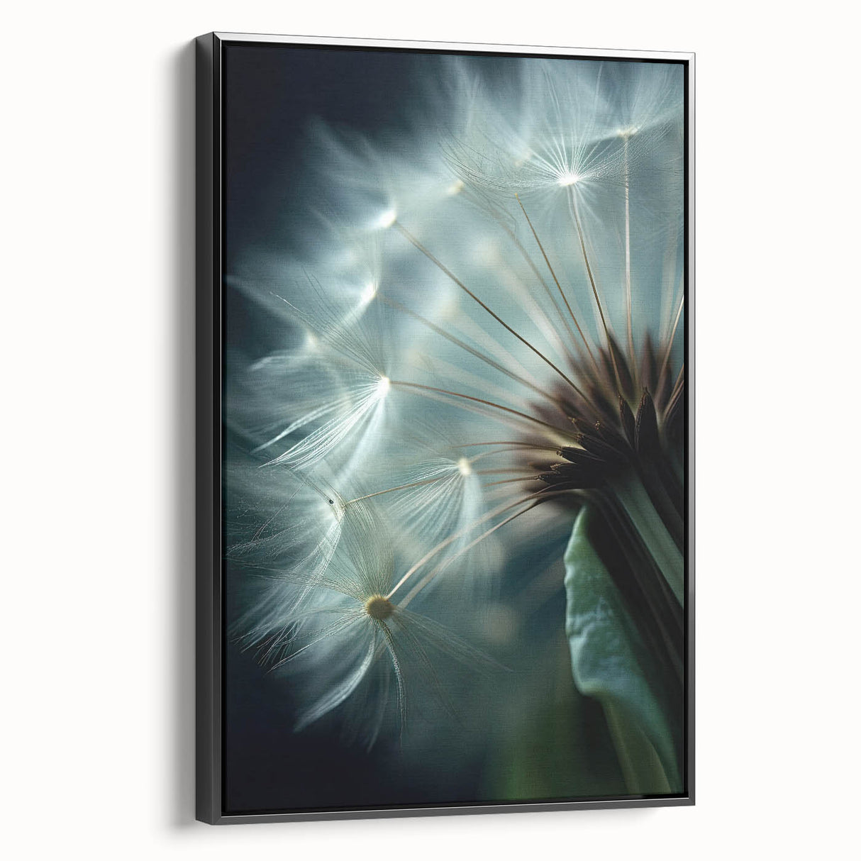 Black and white framed canvas featuring a close-up floral design, ideal for bedroom wall decor.