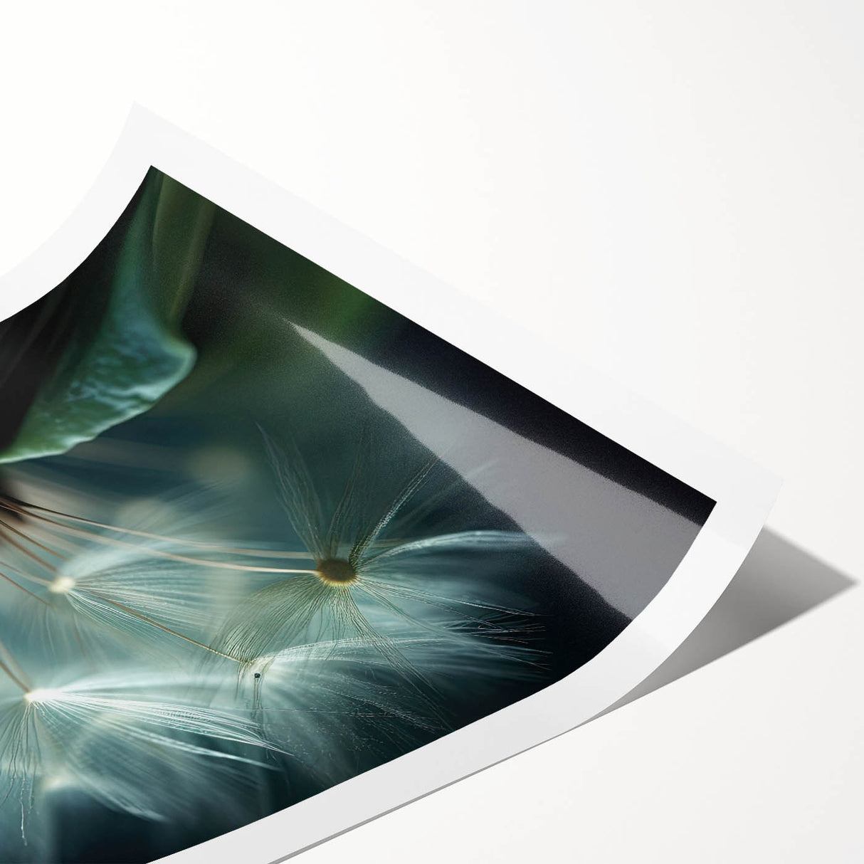 Extra large wall art featuring line art flowers in black on a white background, ideal for large living room decor.