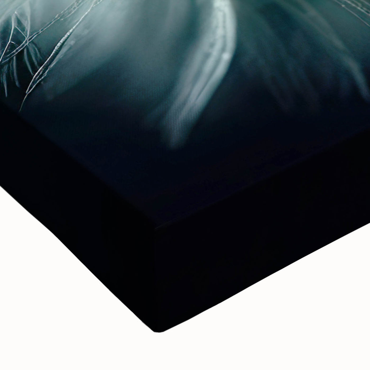 Black and white landscape art painting on stretched canvas featuring a close-up floral design, ideal for bedroom wall decor.