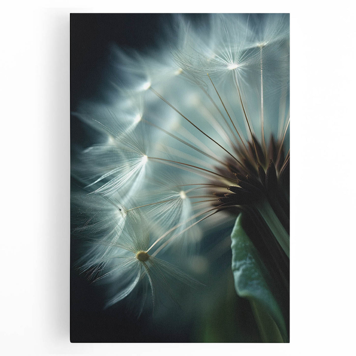 Black and white close-up floral image on stretched canvas, suitable for kitchen wall art.