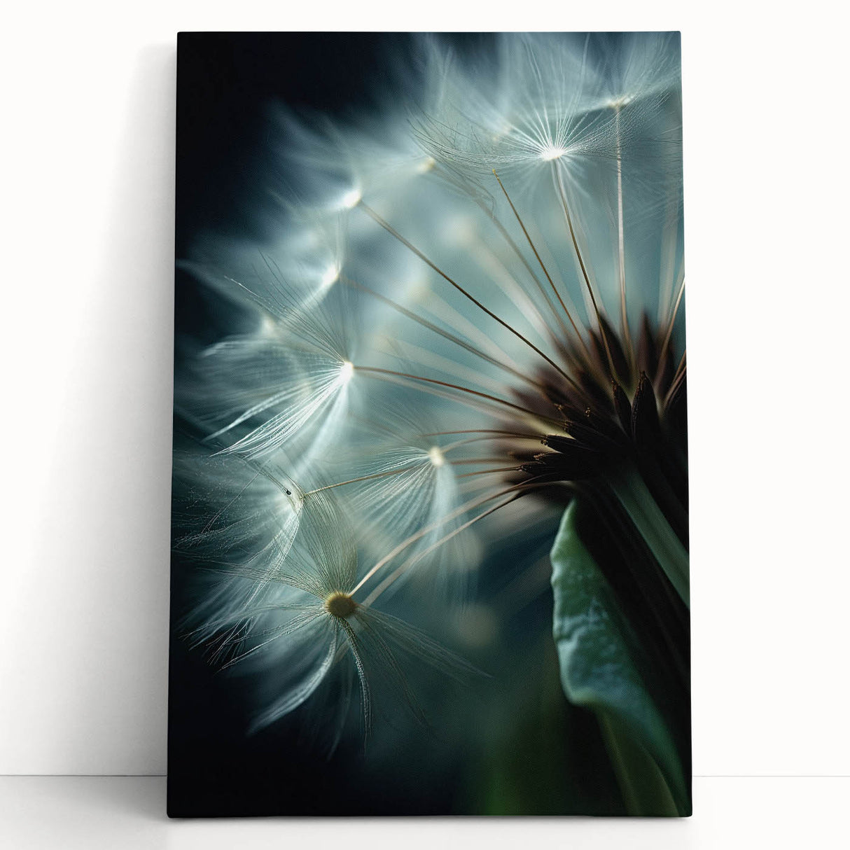 Black and white photo of a close-up floral design on a large stretched canvas, ideal for kitchen wall art.