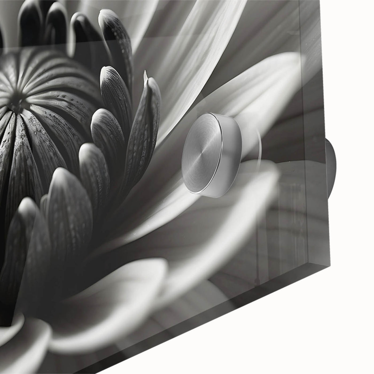 Close-up floral acrylic print in rich, deep hues, ideal for dining room art, reflecting mid-century modernist style.