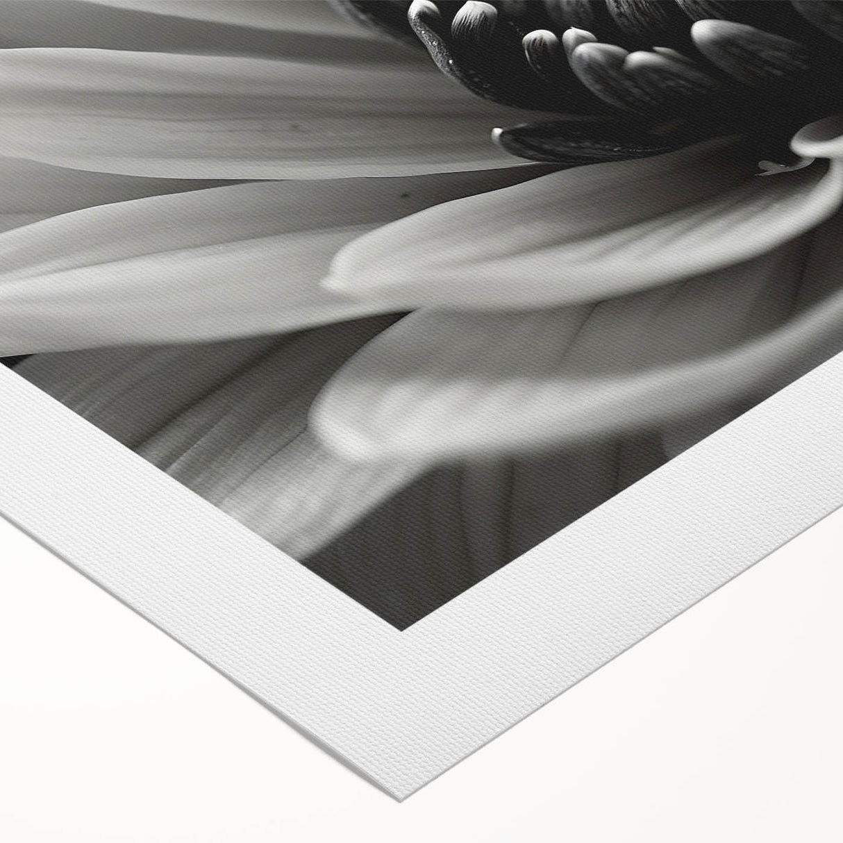 Art deco poster featuring a close-up floral design in pastel shades on rolled canvas, ideal for dining room wall art.