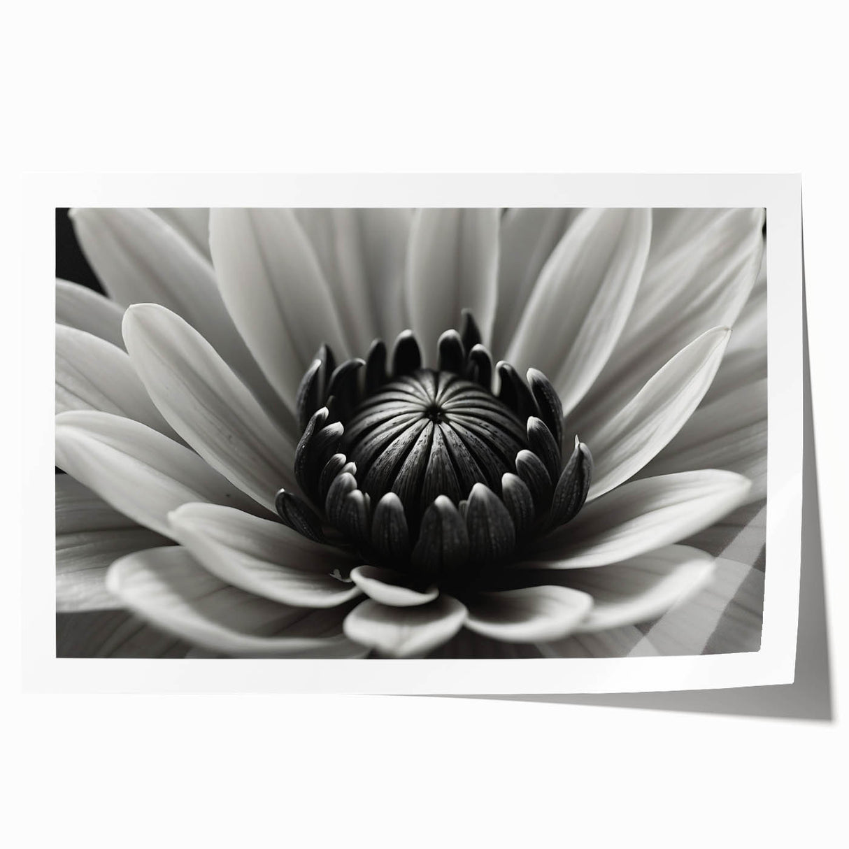 Extra large rolled print of close-up floral designs in vibrant hues, ideal for art wall dining room.