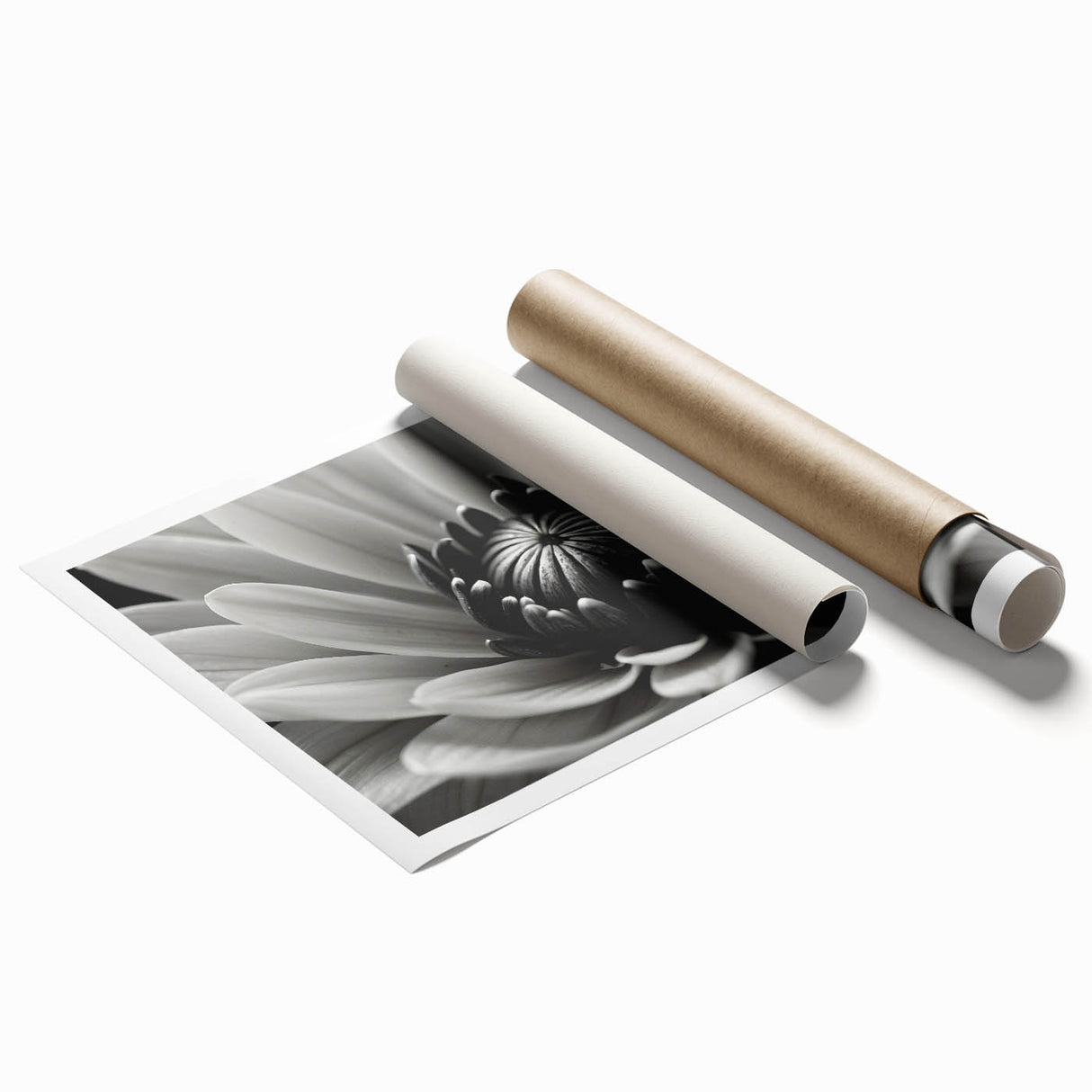 Extra large rolled print featuring close-up of pale pink florals on a muted background.