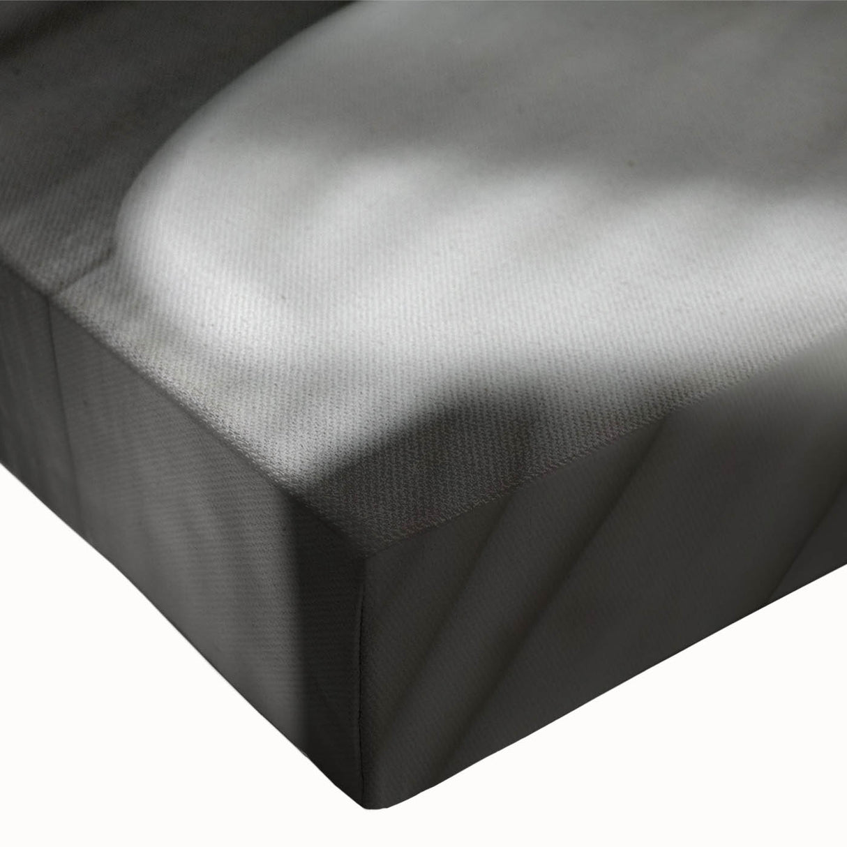 Close-up black and white photo of a dandelion on stretched canvas, suited for bedroom wall decor.