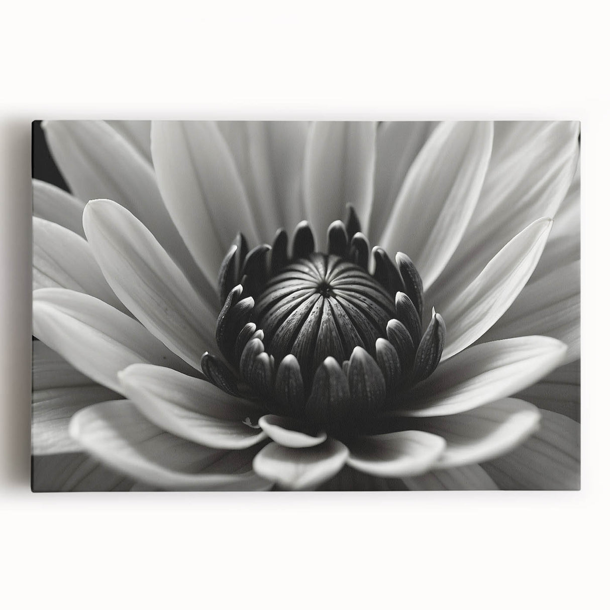 Black and white close-up floral photograph on stretched canvas, ideal for kitchen wall art.