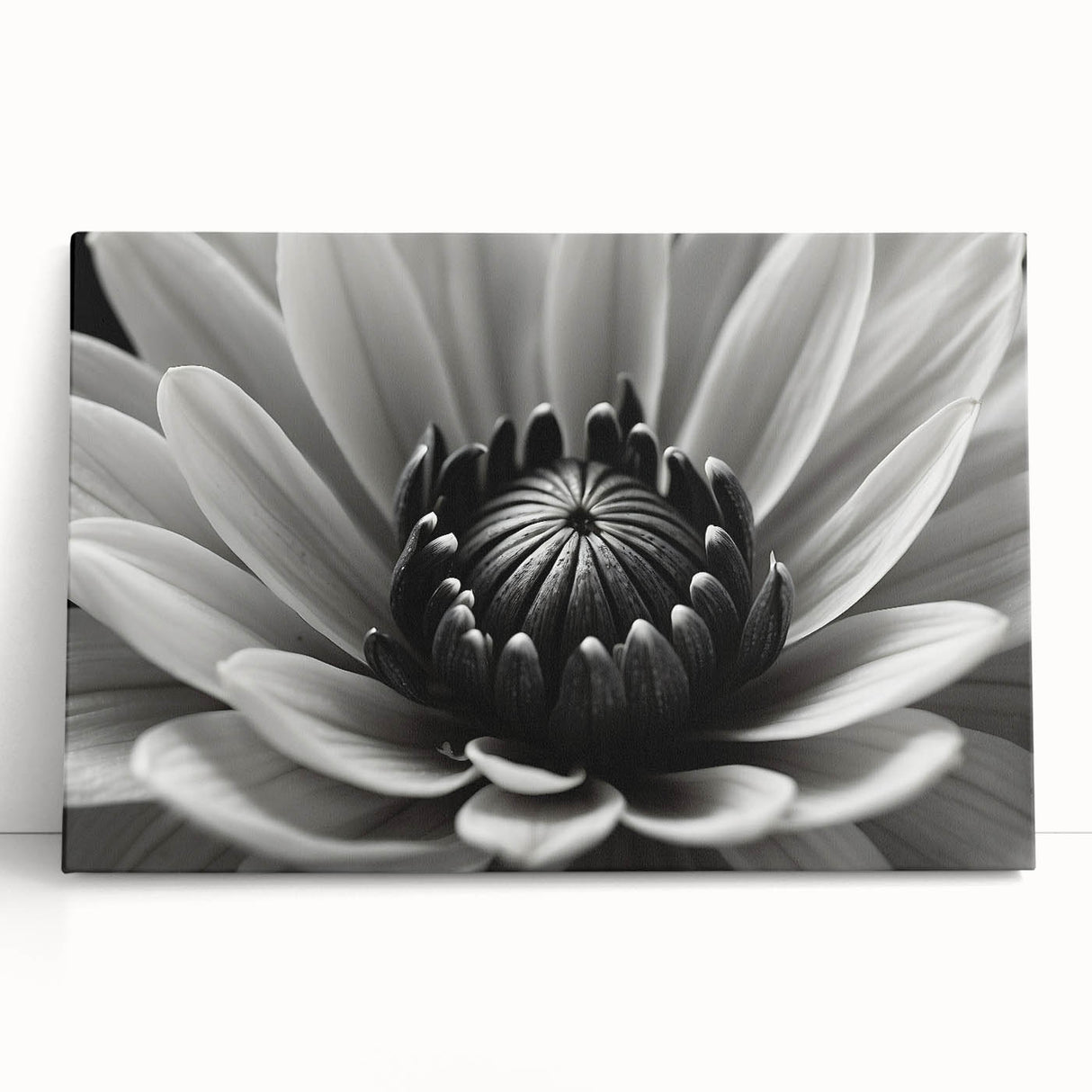 Black and white close-up floral image on stretched canvas, ideal for kitchen wall art.