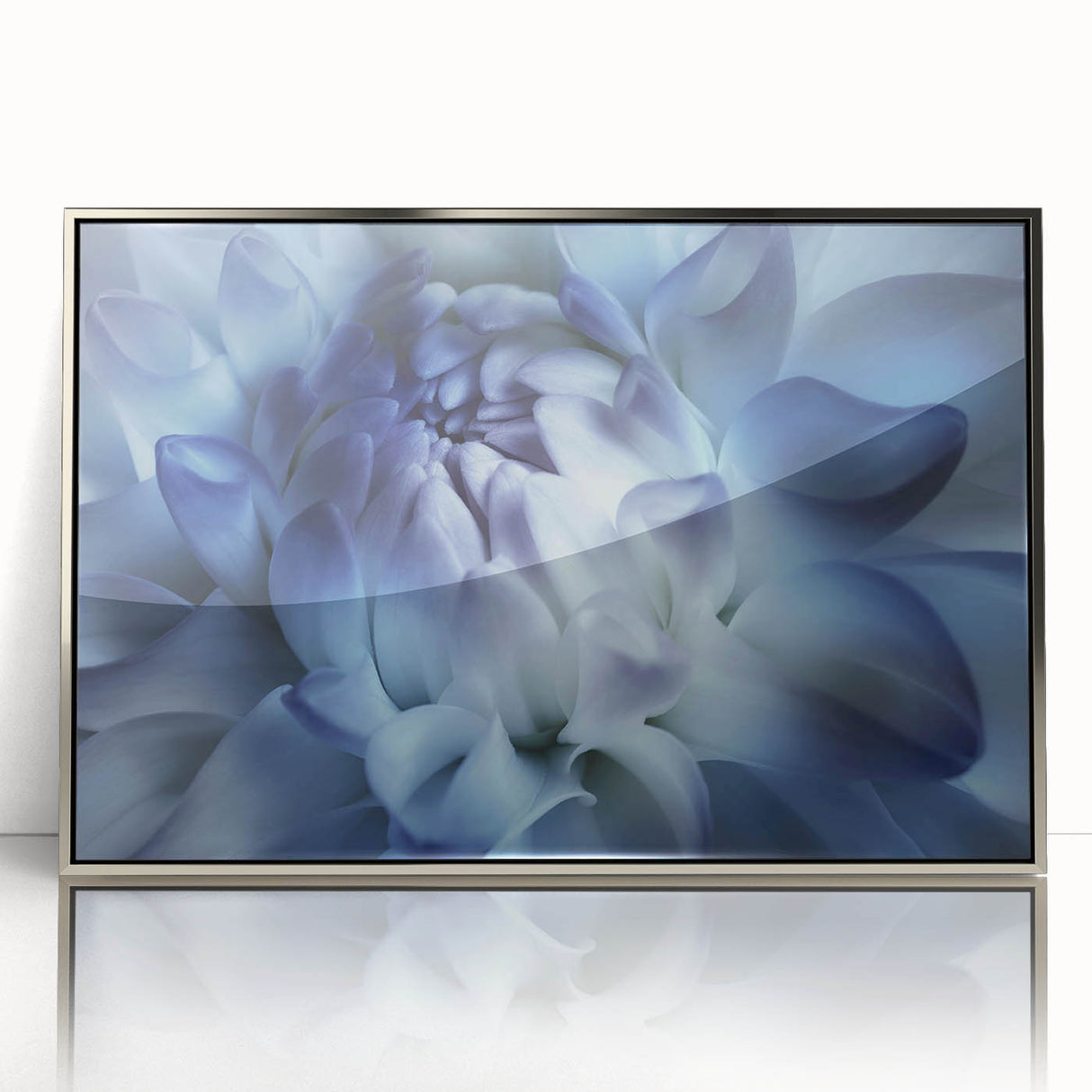 Mid-century modernist art of vibrant floral close-ups in a silver framed acrylic, suitable for nursery wall decor.