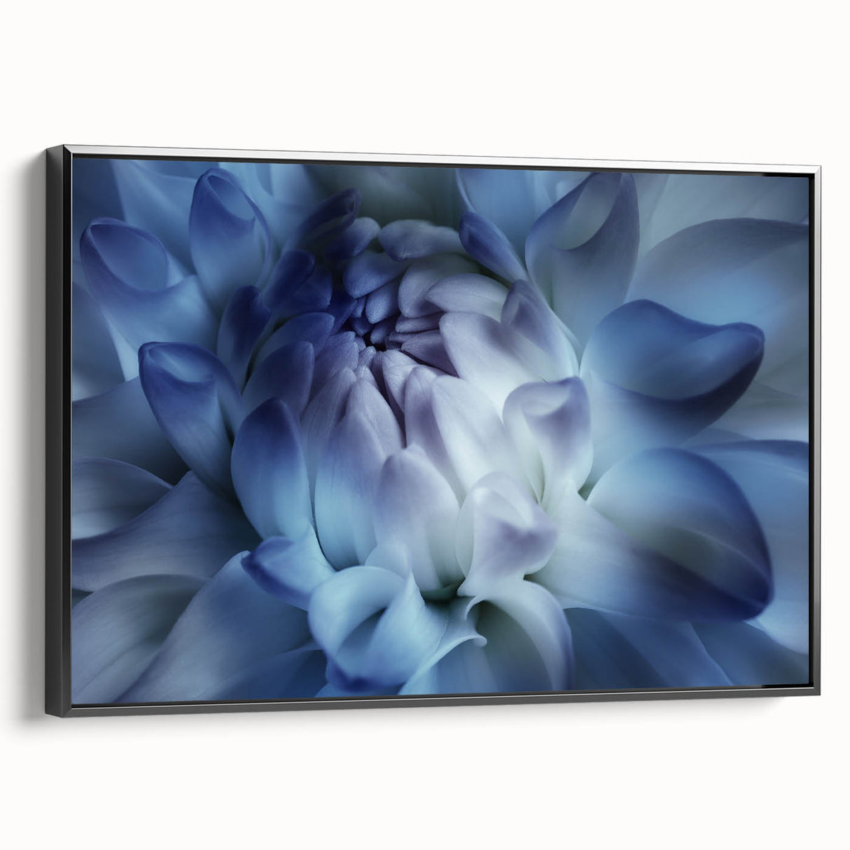 Black and white framed canvas featuring a close-up floral design, suitable as wall art for a bedroom.