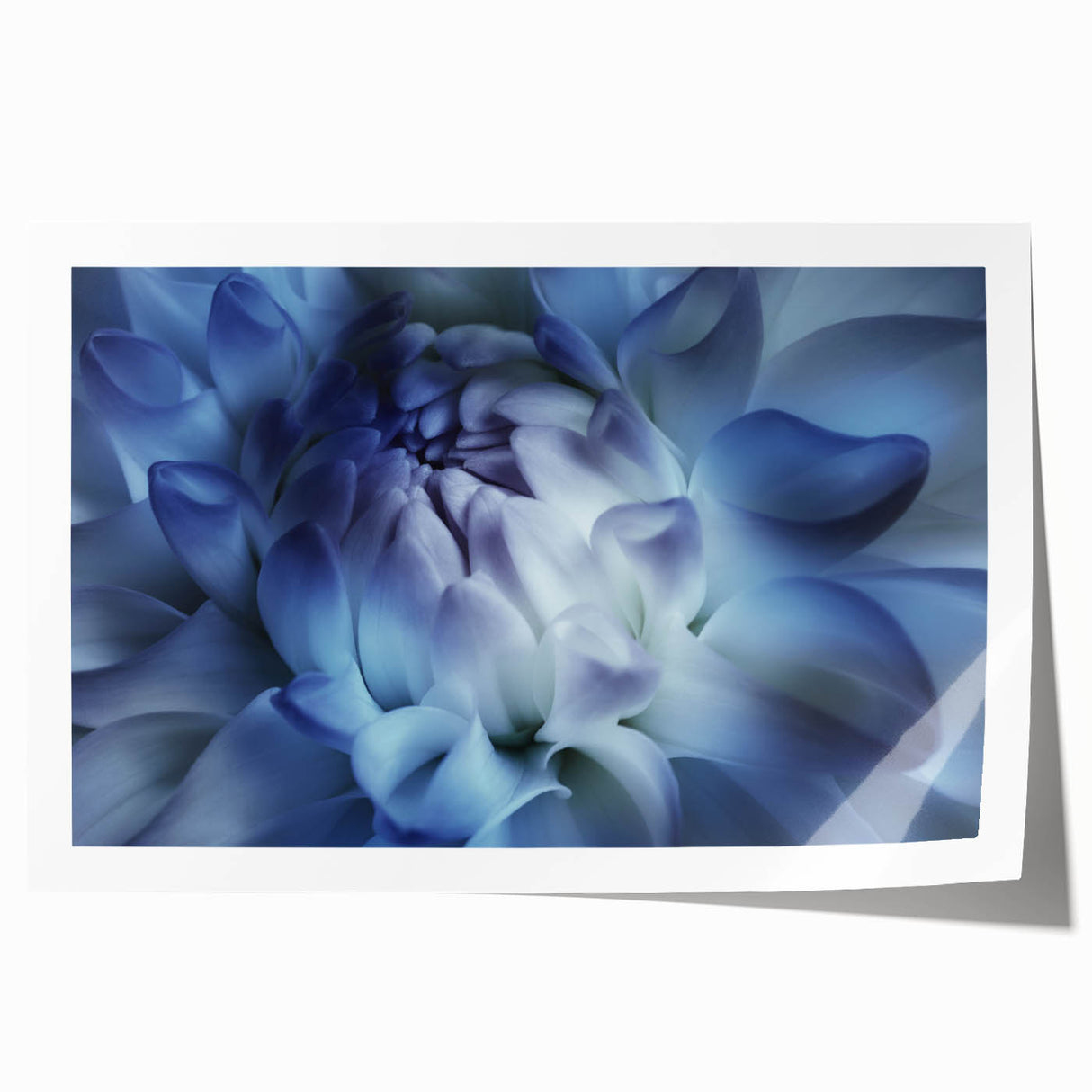 Close-up floral art on rolled print, featuring vibrant pink and green tones, suitable for dining room or bathroom decor.