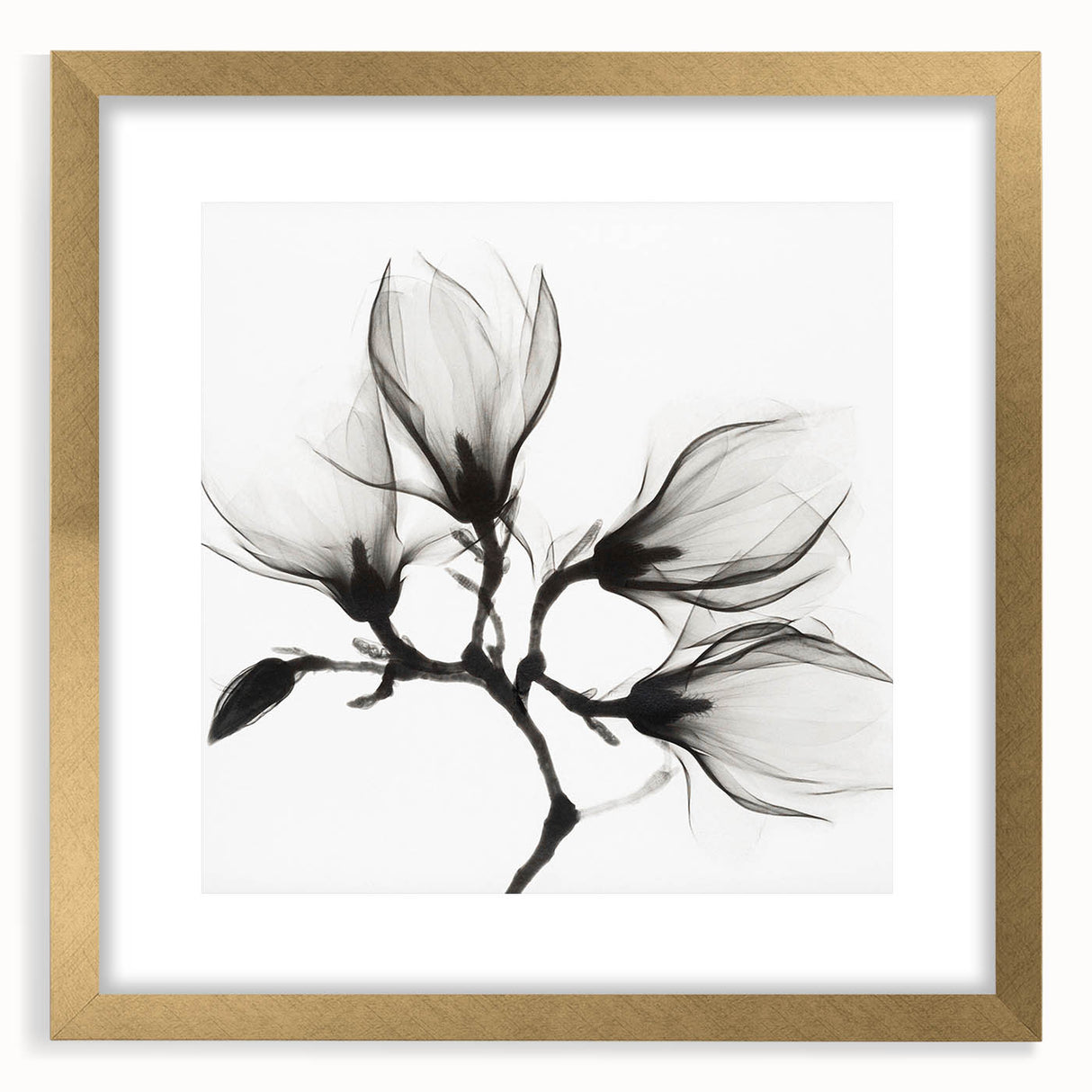 Extra large abstract floral print in textured gold frame, ideal for living room decor.