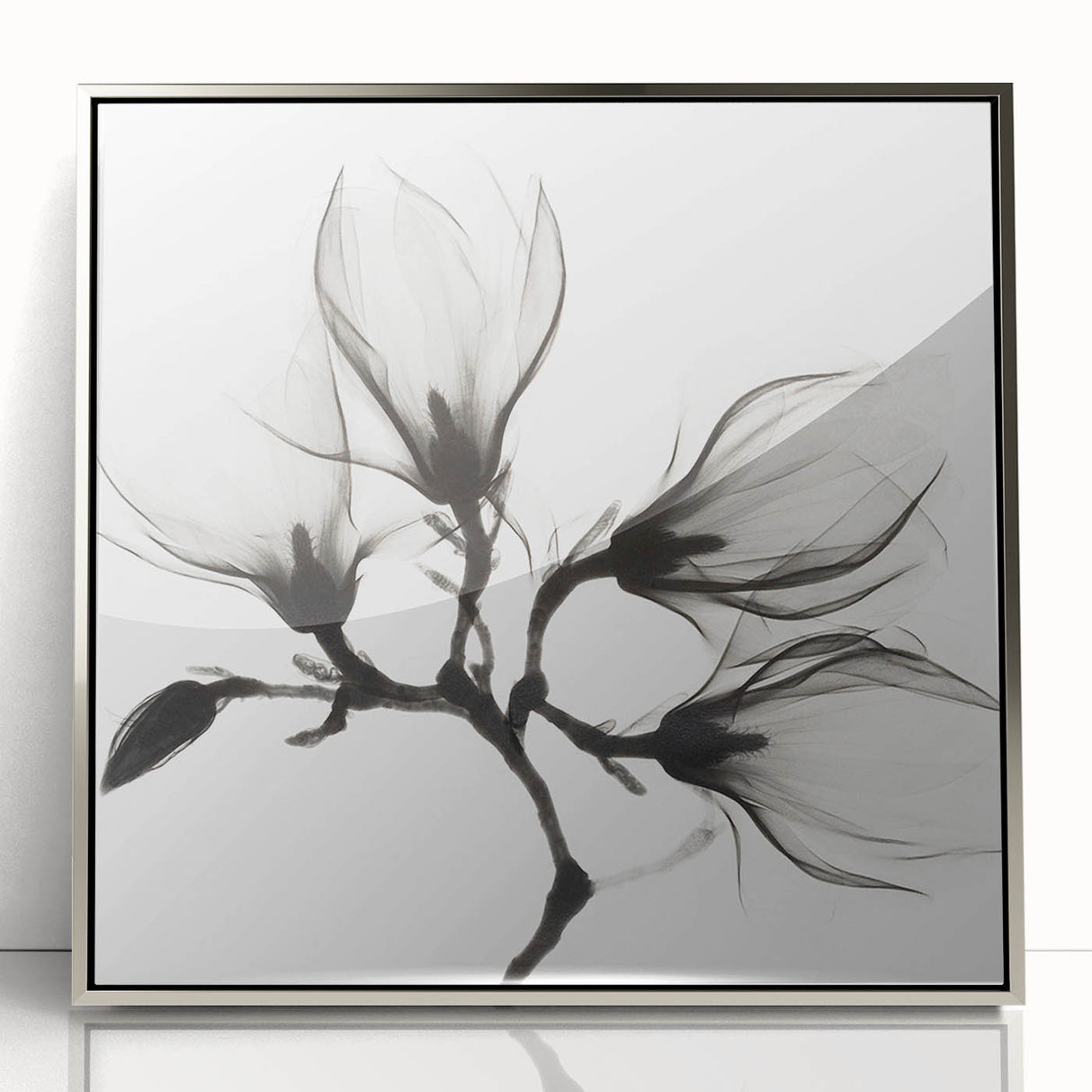 Mid-century modernist art featuring close-up floral designs in soft pastel colors, framed in silver acrylic.