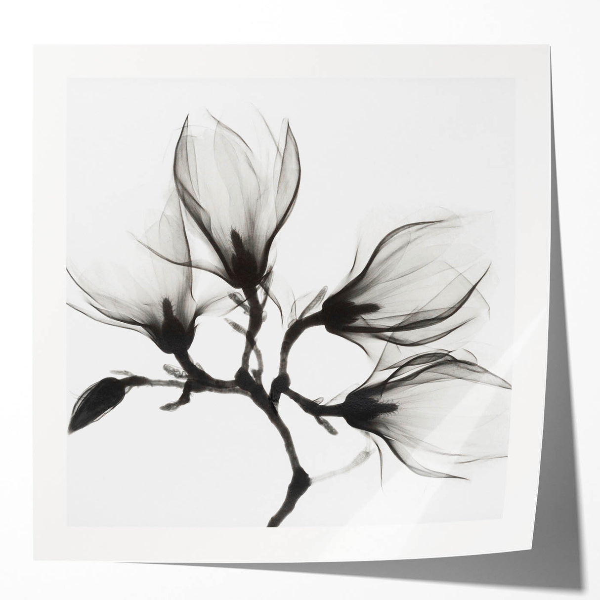 Extra large rolled print featuring close-up floral design in vibrant colors, ideal for dining room wall art.