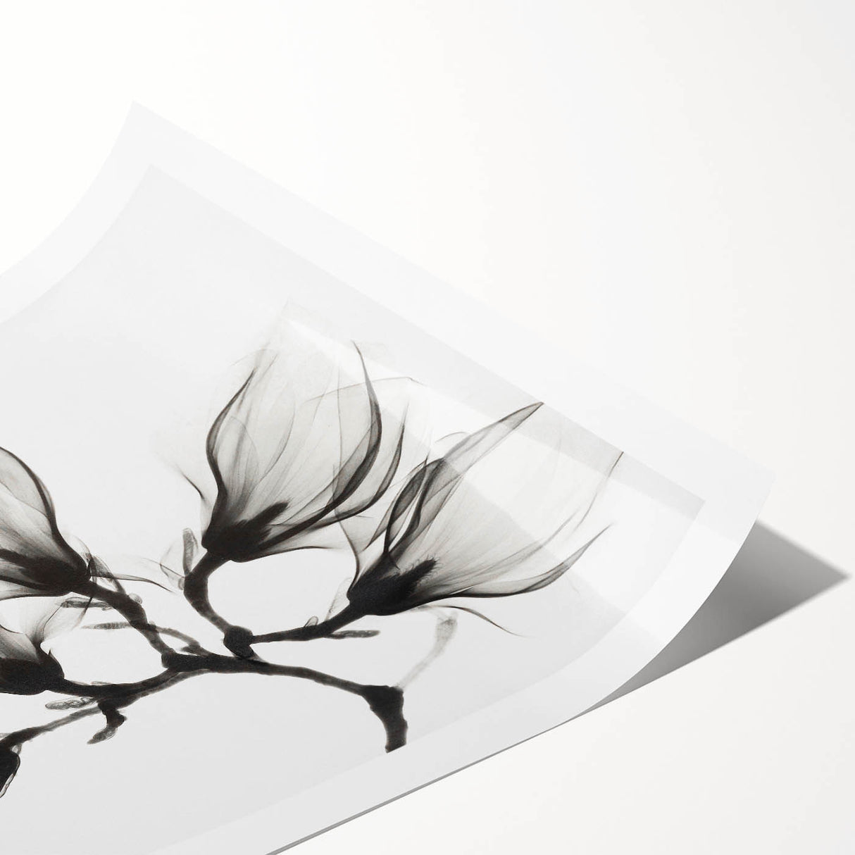 Extra large wall art featuring line art flowers in black on a white background, ideal for large living room decor.