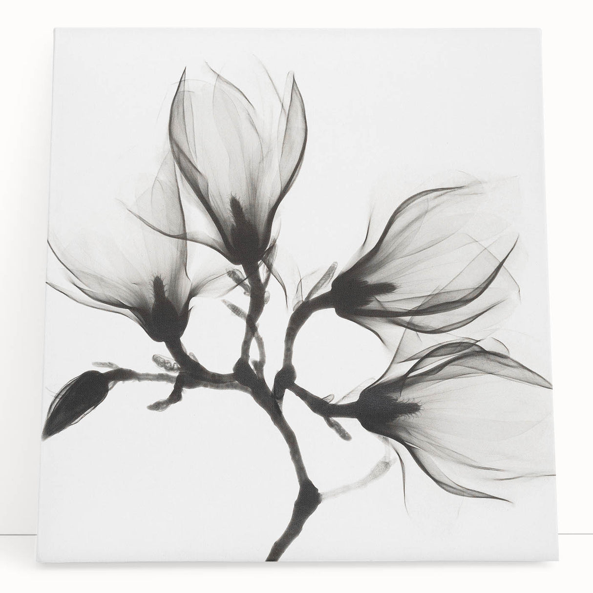 Black and white floral close-up on stretched canvas, ideal for kitchen wall art or bedroom ambiance.