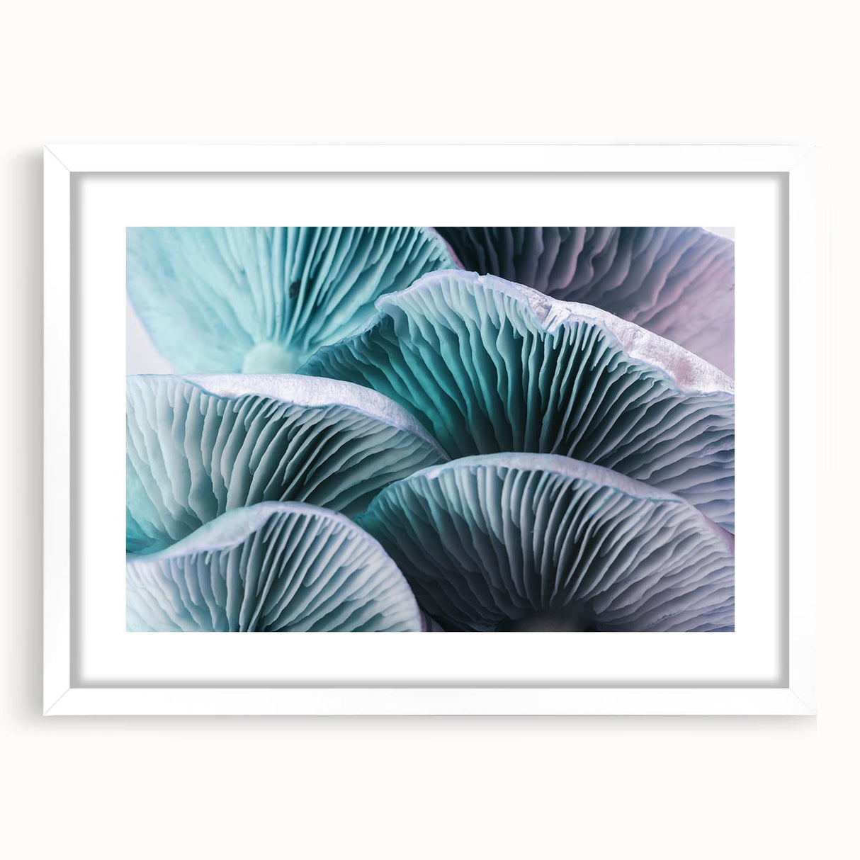 Abstract art print featuring close-up floral designs in soft pastel hues, displayed in a white framed mat.