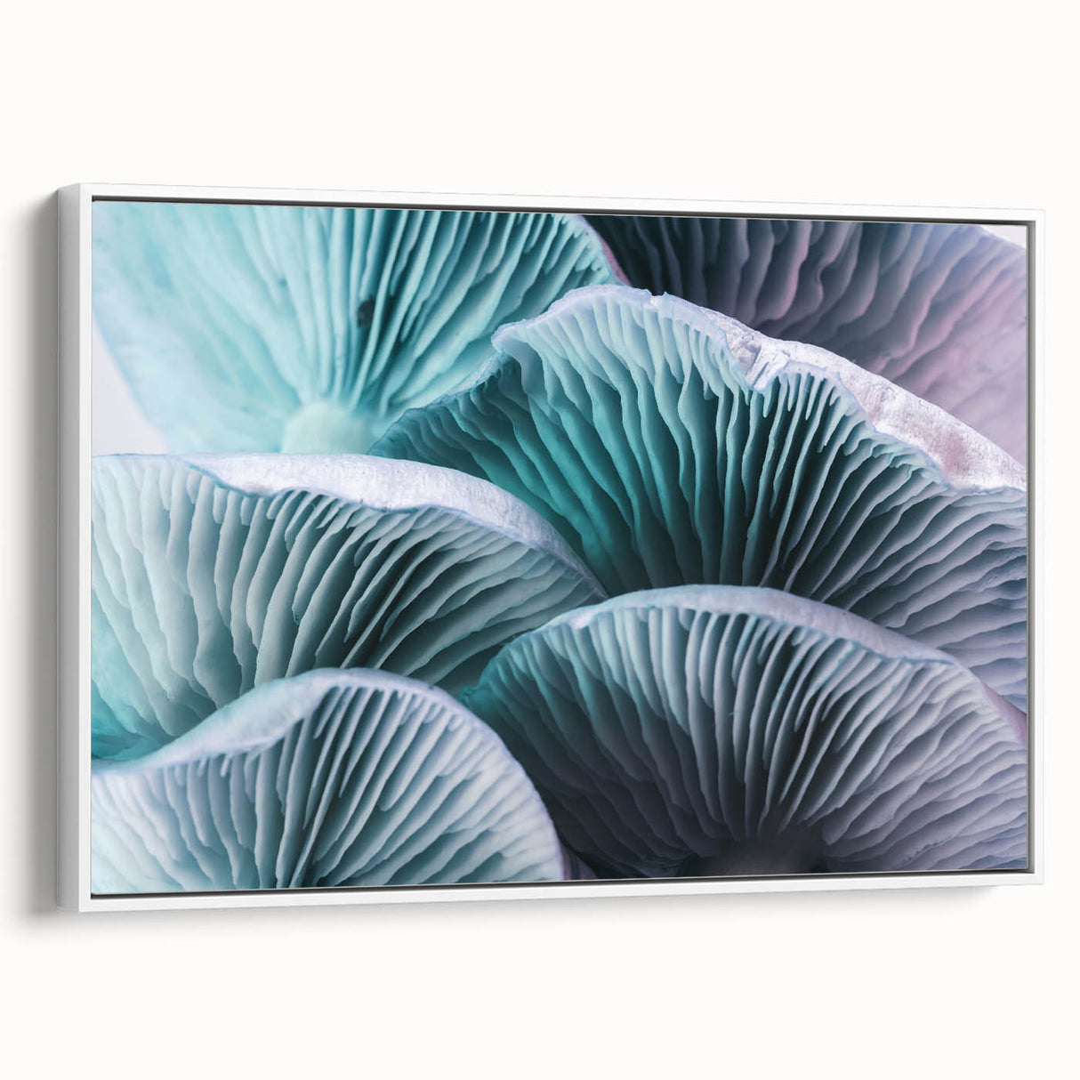 Extra large vintage poster art of colorful florals on a black background, framed canvas, ideal for living room decor.