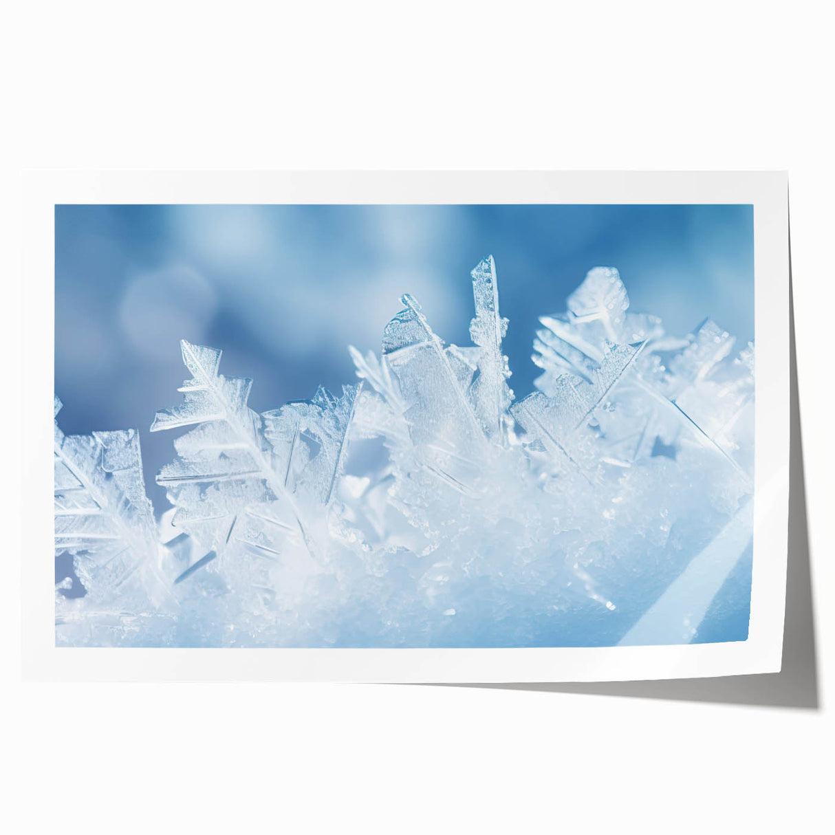 Close-up of frost pattern on ice in muted blue and white tones, rolled print.