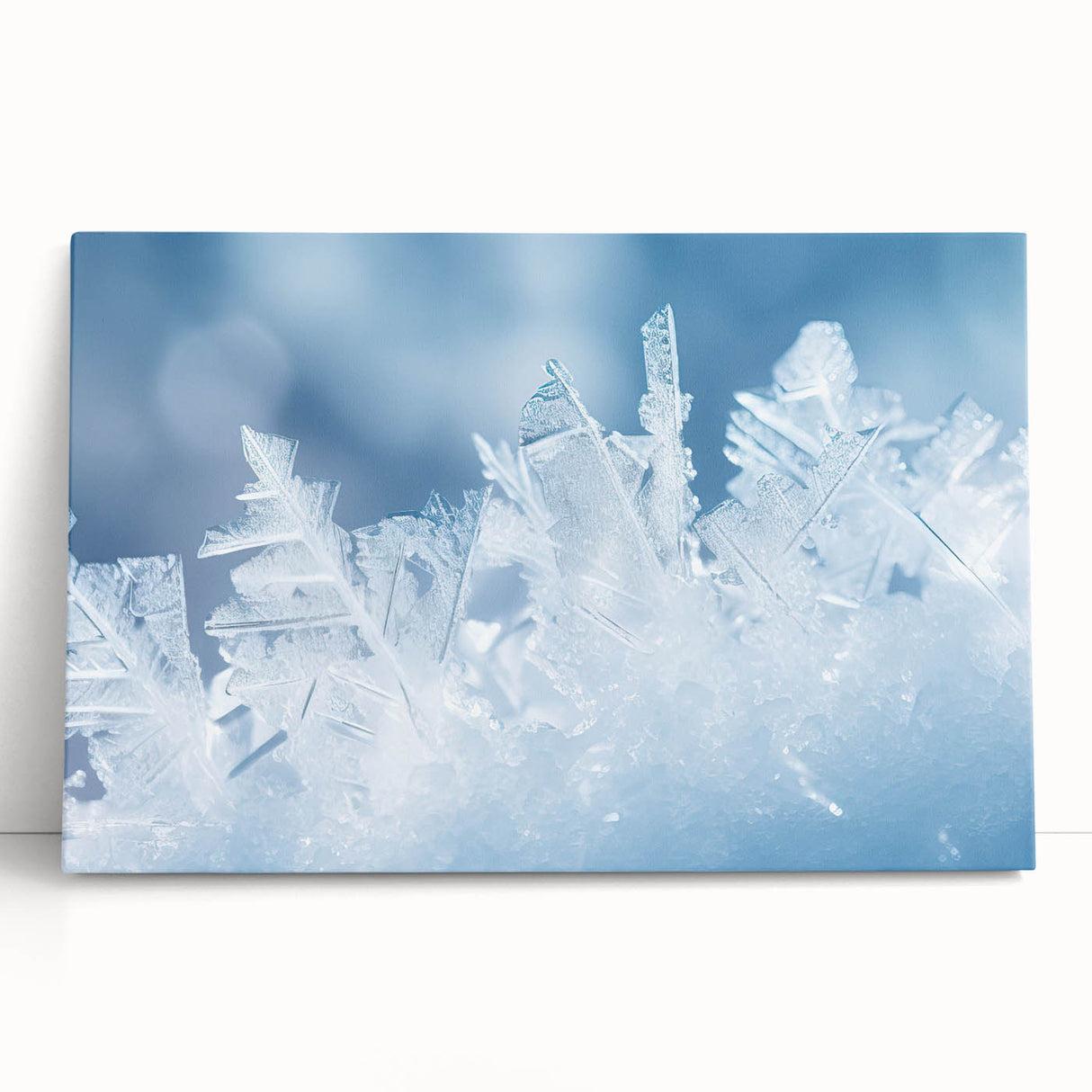 Close-up of frost patterns in black and white on a large stretched canvas, ideal for kitchen wall art or bedroom ambiance.