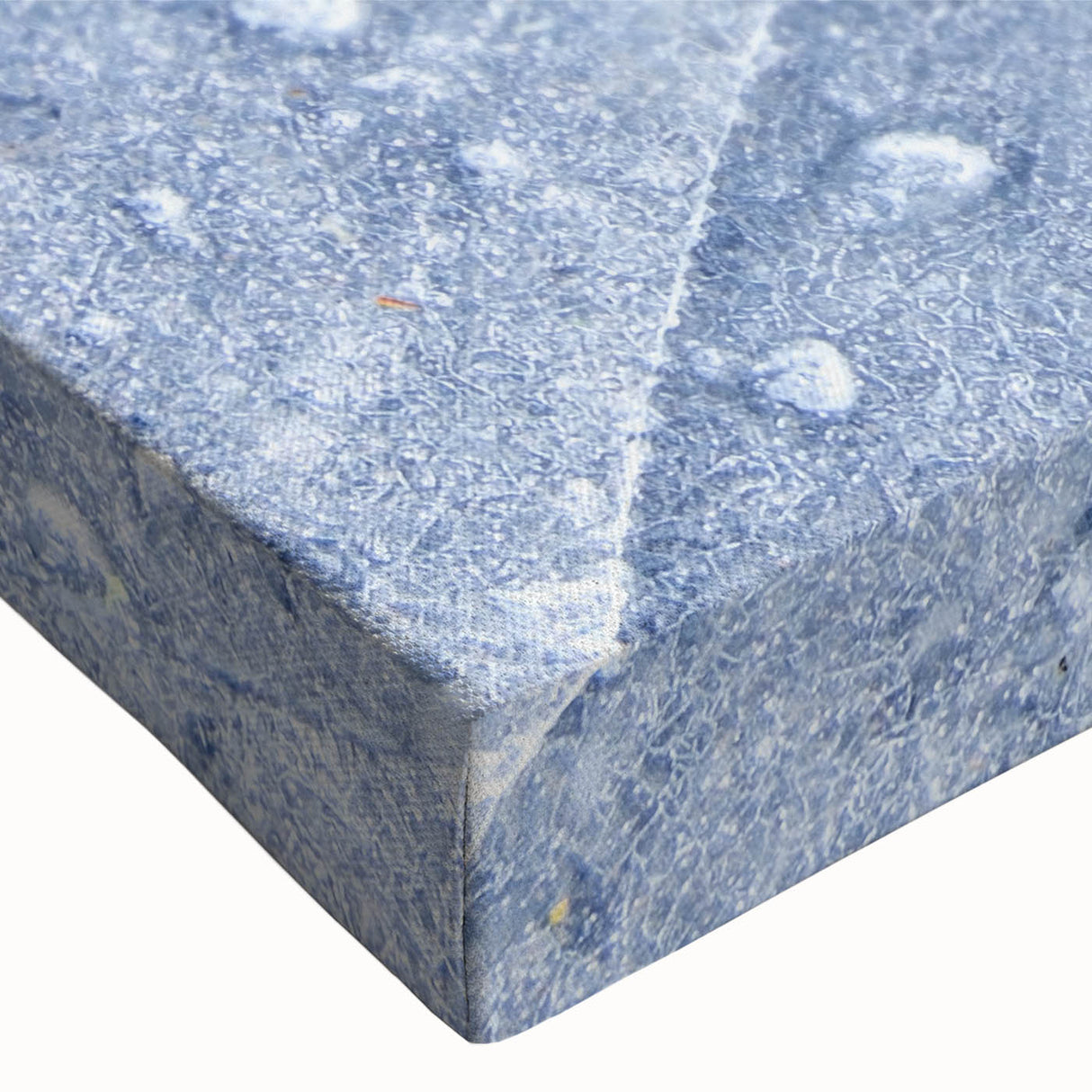 Close-up of frost patterns in black and white on stretched canvas, suitable for bedroom landscape art.