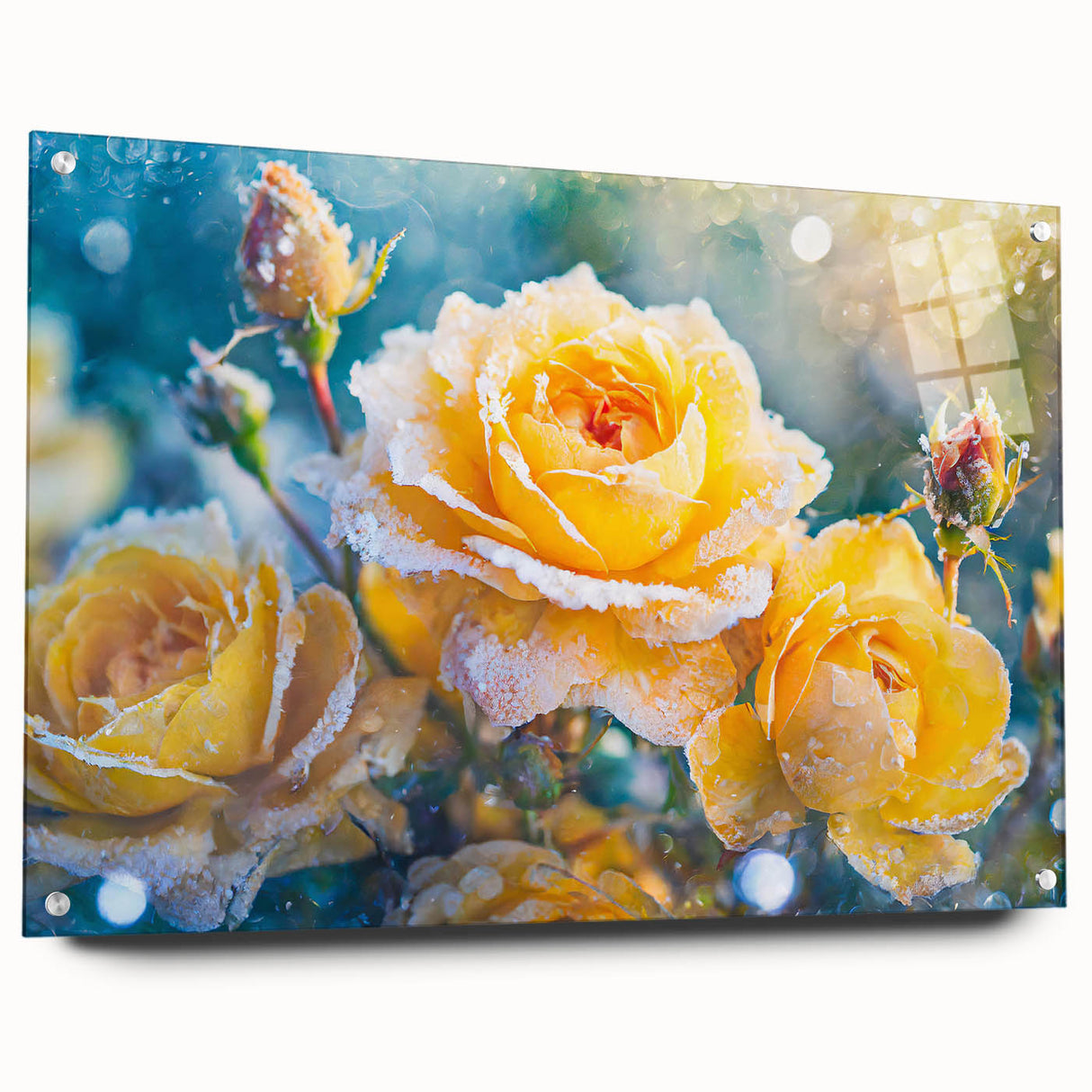 Close-up image of frost patterns on acrylic glass, featuring intricate ice designs in white and blue tones.