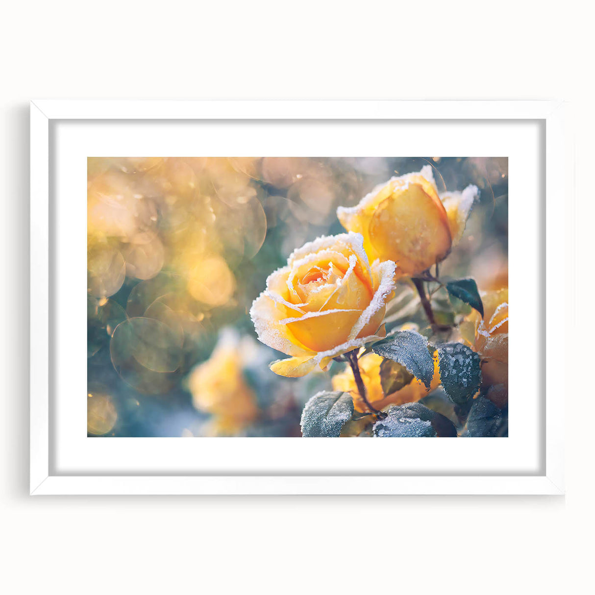 Extra large abstract art print depicting a frost design in textured white and blue tones, framed with a white mat.