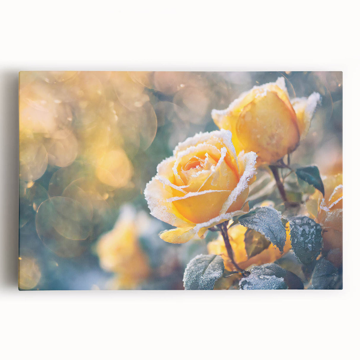 Black and white close-up image of frost patterns on ice, printed on a large stretched canvas, suitable for kitchen wall art.