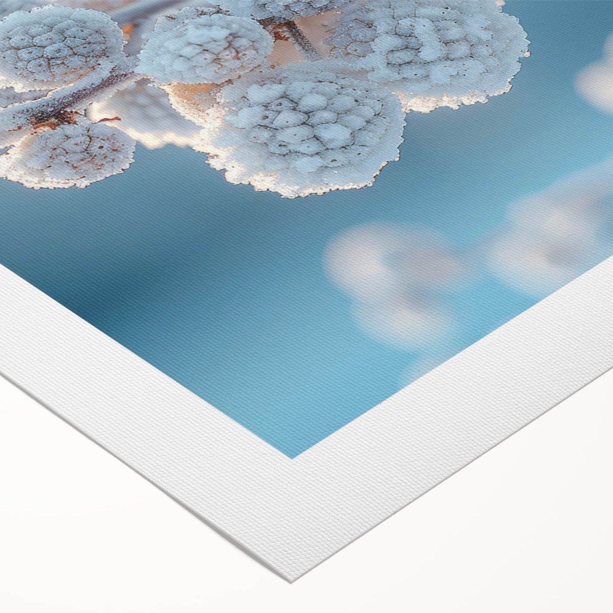 Art deco poster featuring a close-up of frost patterns in muted blue and white tones on rolled canvas.