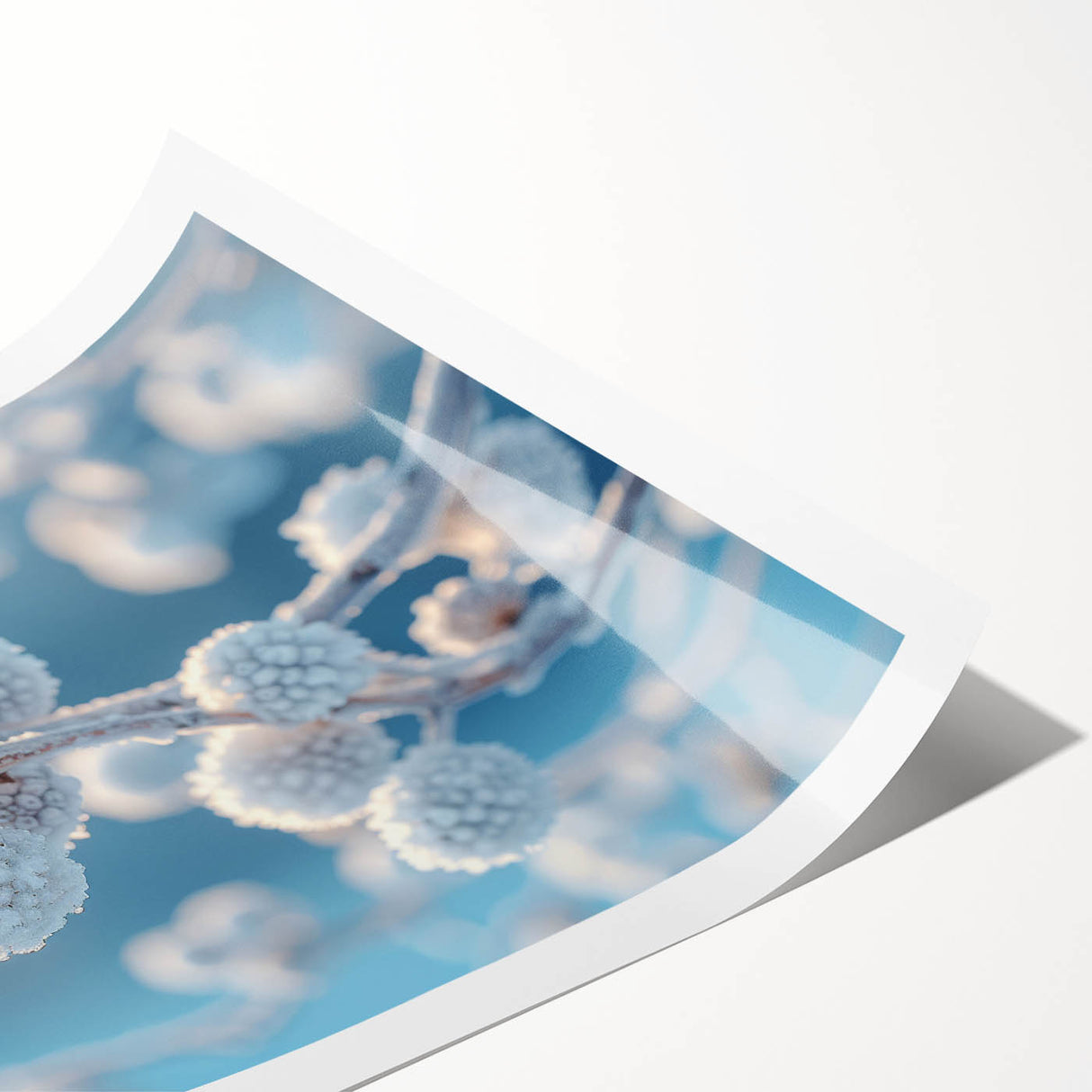 Extra large wall art featuring a close-up of frost patterns on flowers.