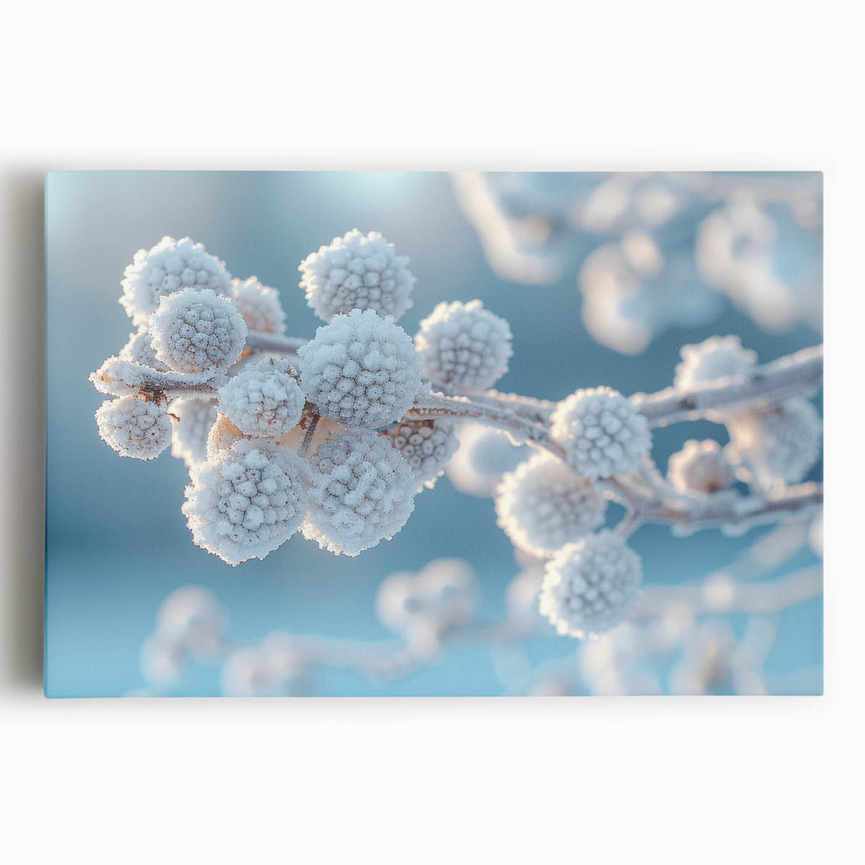 Close-up of frost pattern in black and white on stretched canvas, suitable for kitchen wall art.