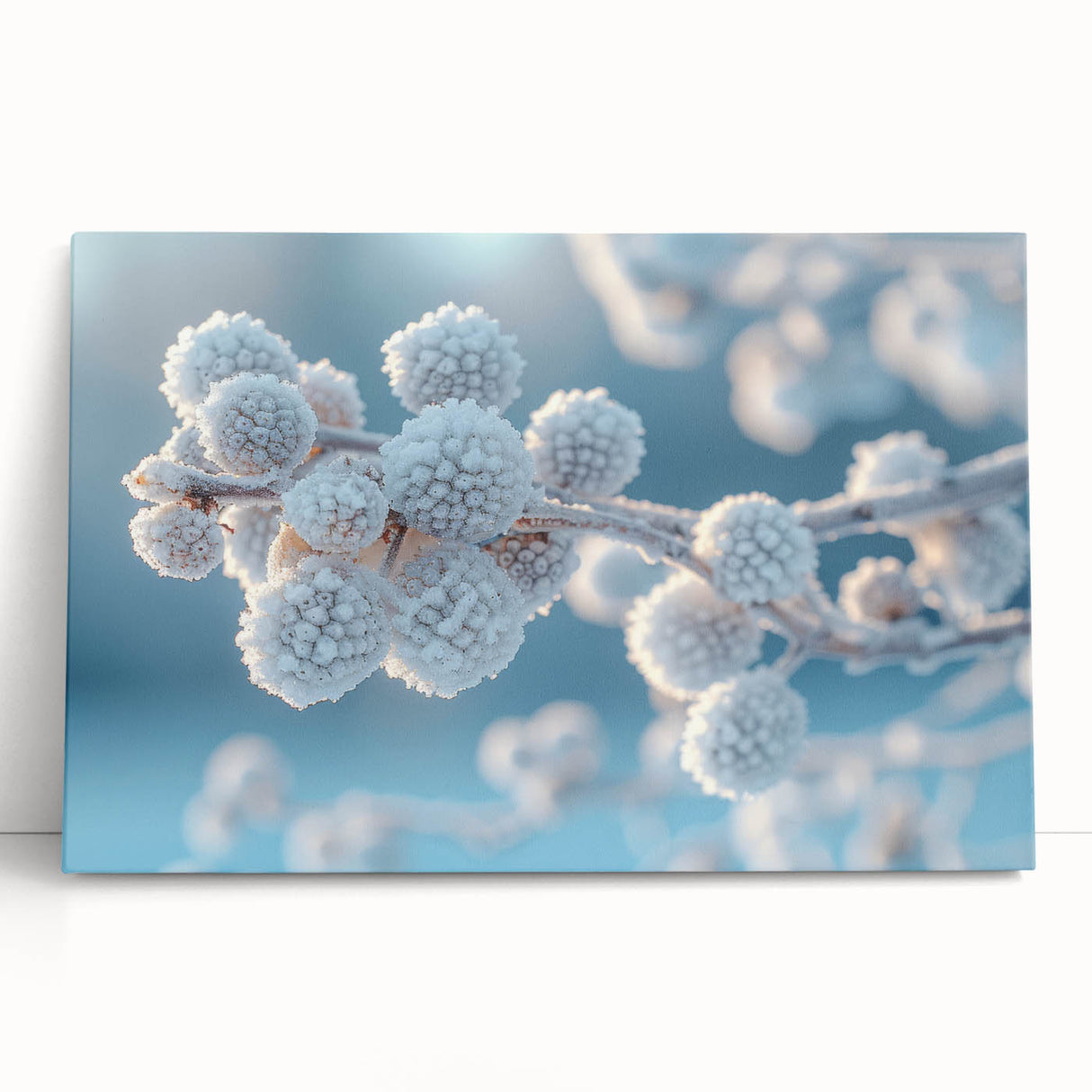 Black and white close-up image of frost patterns on ice, printed on large stretched canvas, ideal for kitchen wall art.