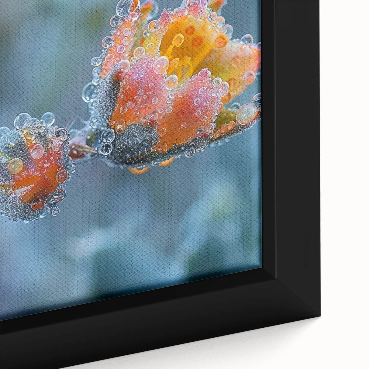 Framed canvas featuring a close-up of frost patterns in black with textured, colorful art.